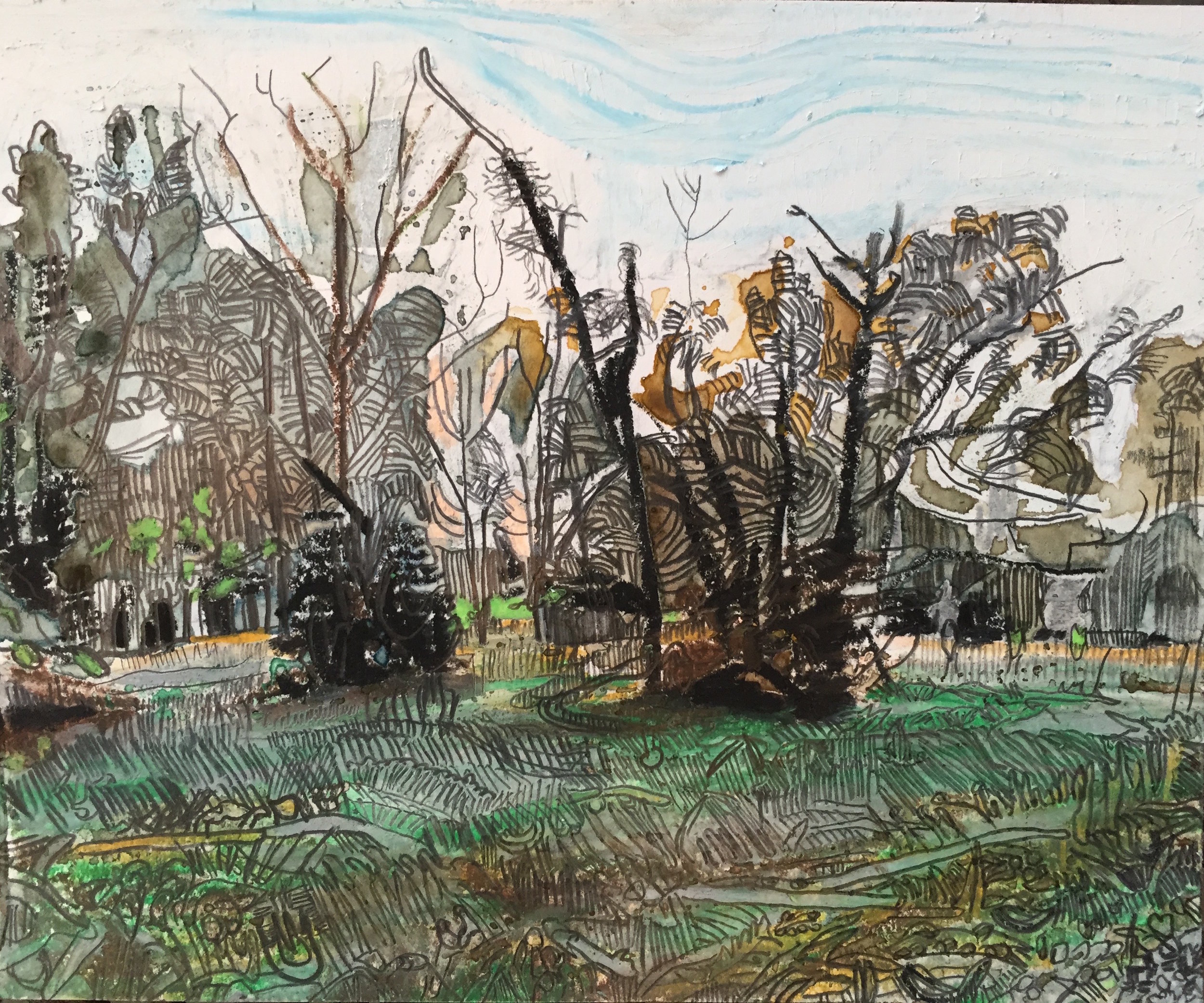 Copse of Trees
