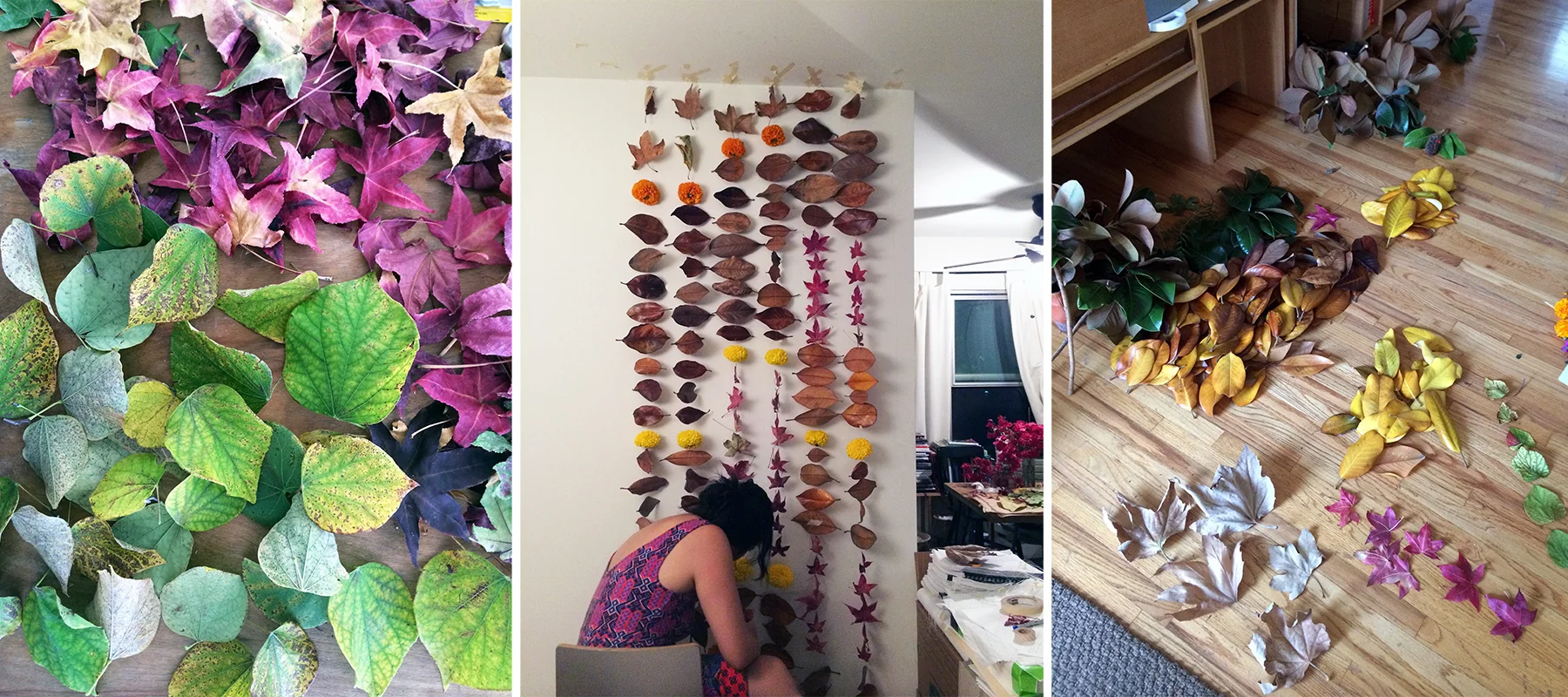 My sister said she had never looked at so many leaves so closely. before. It does get to be sort of awe-inspiring and frightening at the same time.
