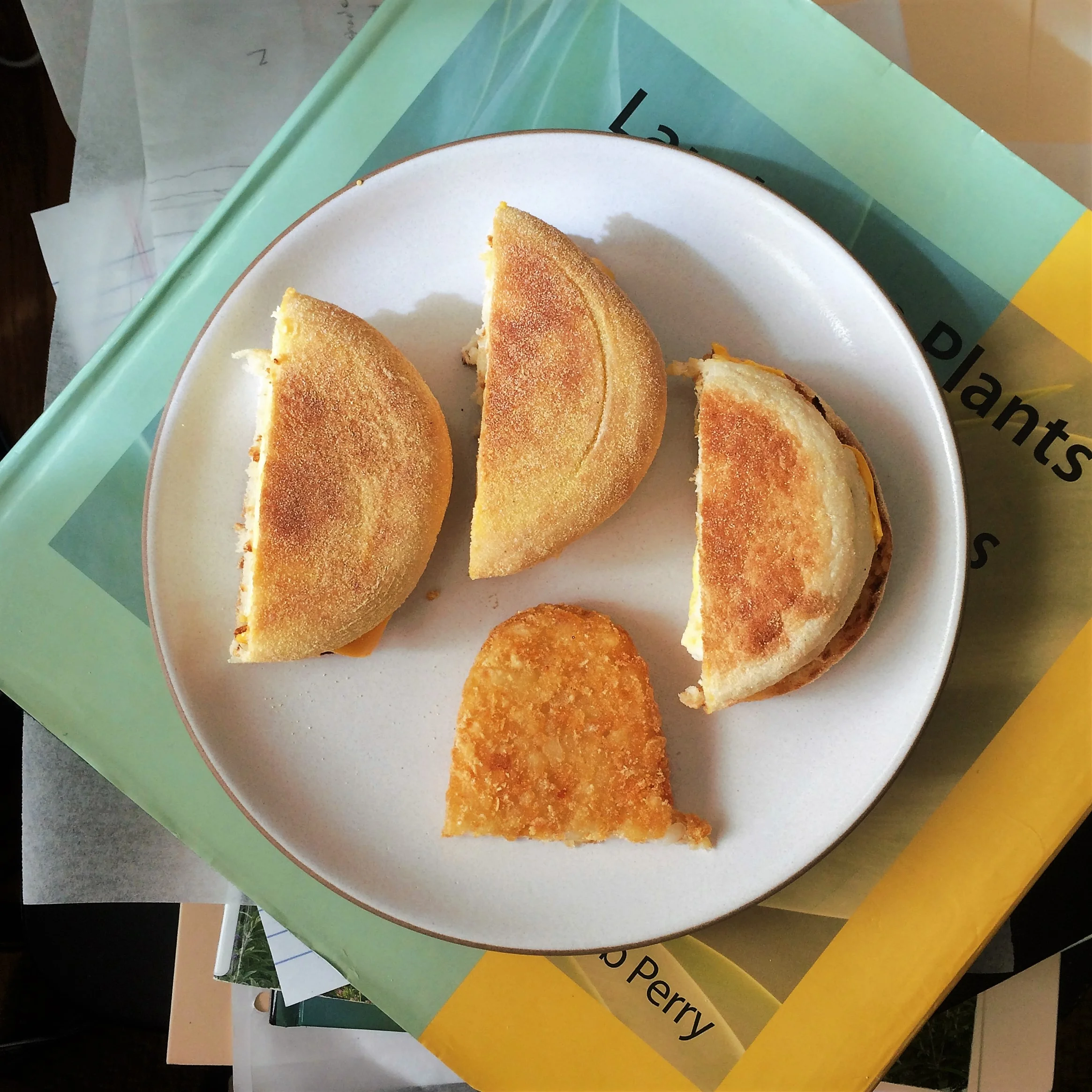 Continuing with the Unexpected Geometries foods theme, this was the breakfast plate I was presented with one morning.