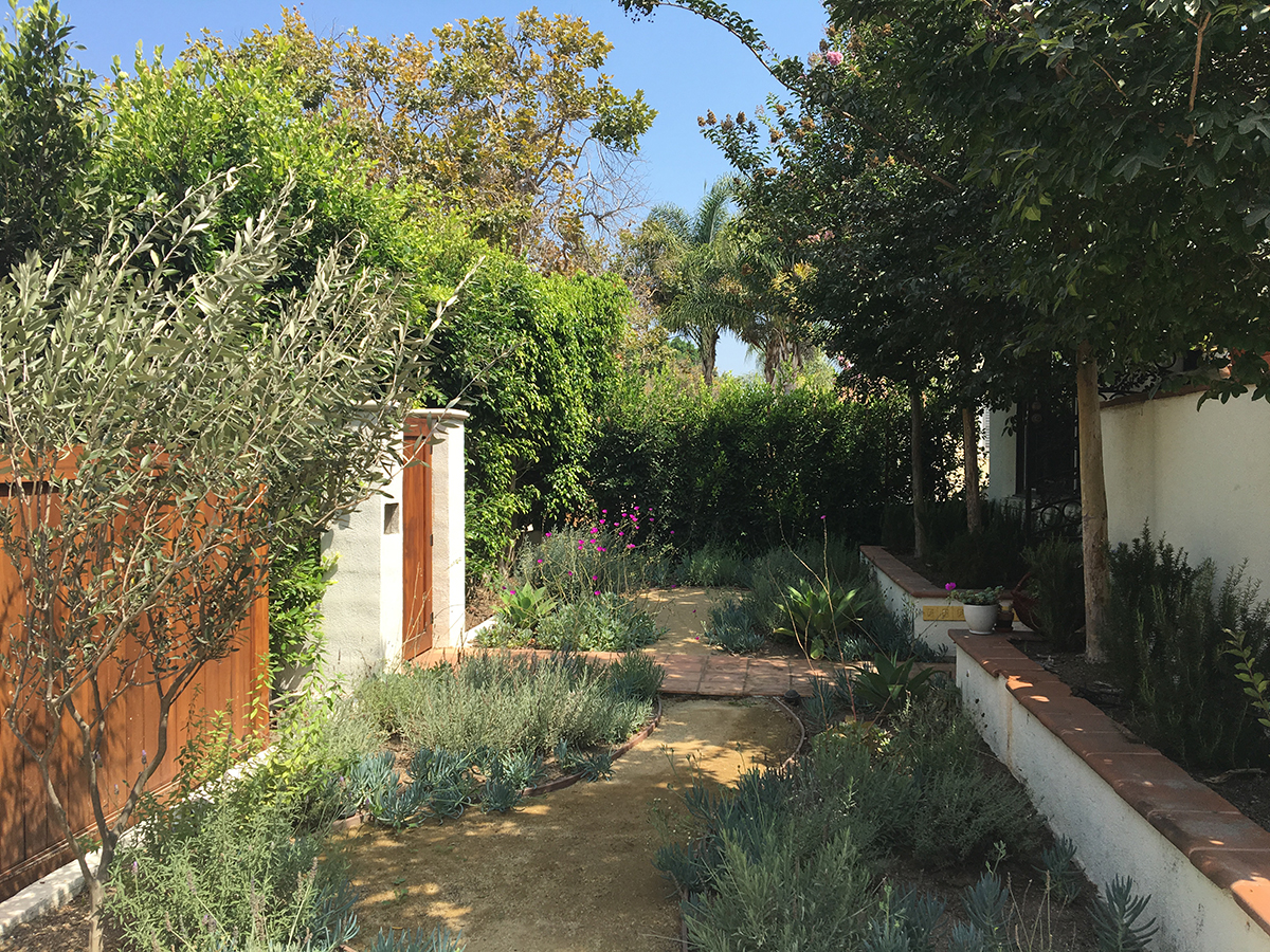  An entry driveway transformed into a Mediterranean garden. 