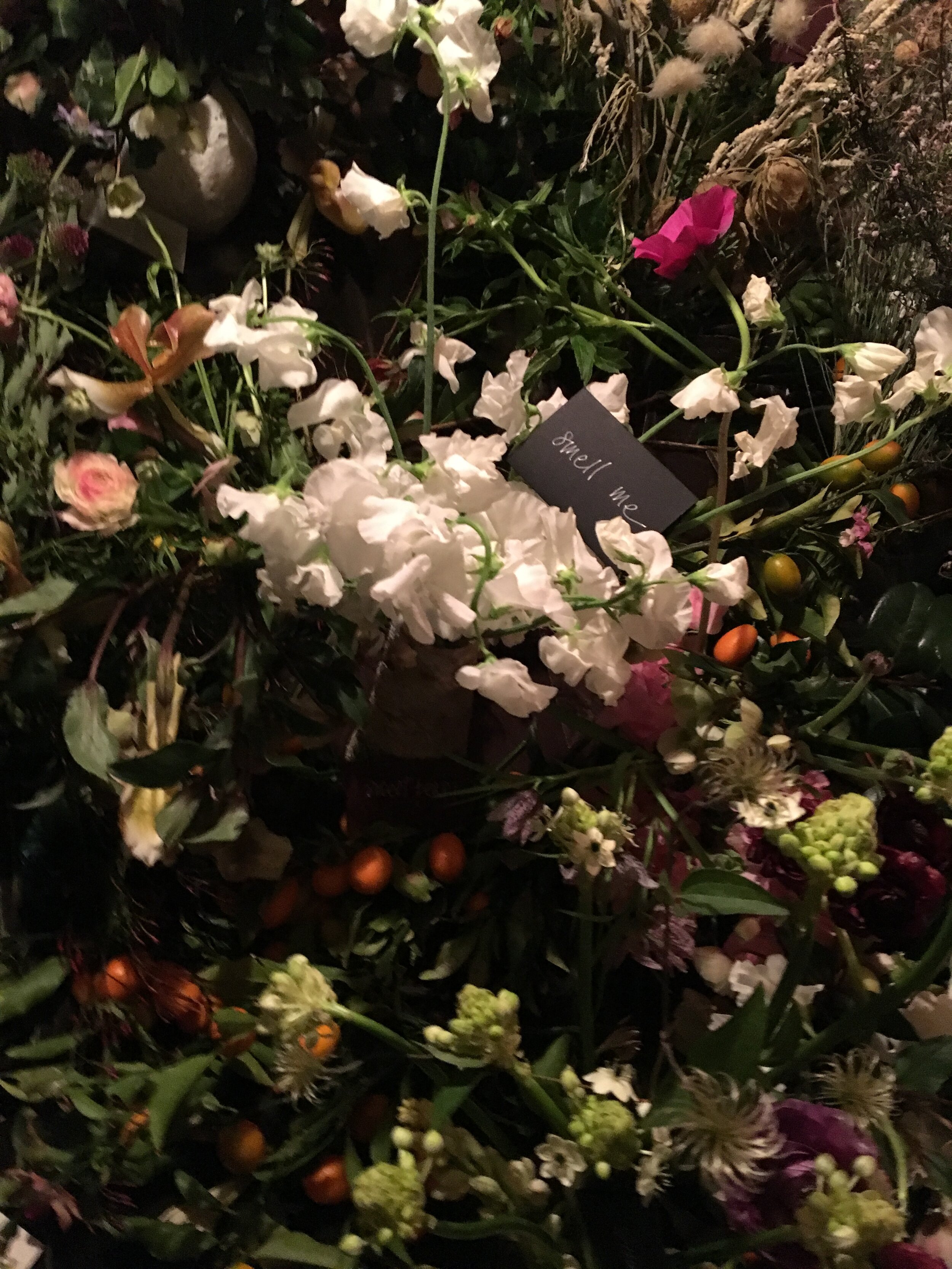  Garden Party installation at Days / 2019   Upstairs in an old brick building, I created a secret garden for all the senses, flowers to smell and touch and eat. The most fragrant tuberose, freesia, sweet peas, hyacinth. Weird enormous seed pods, ghos
