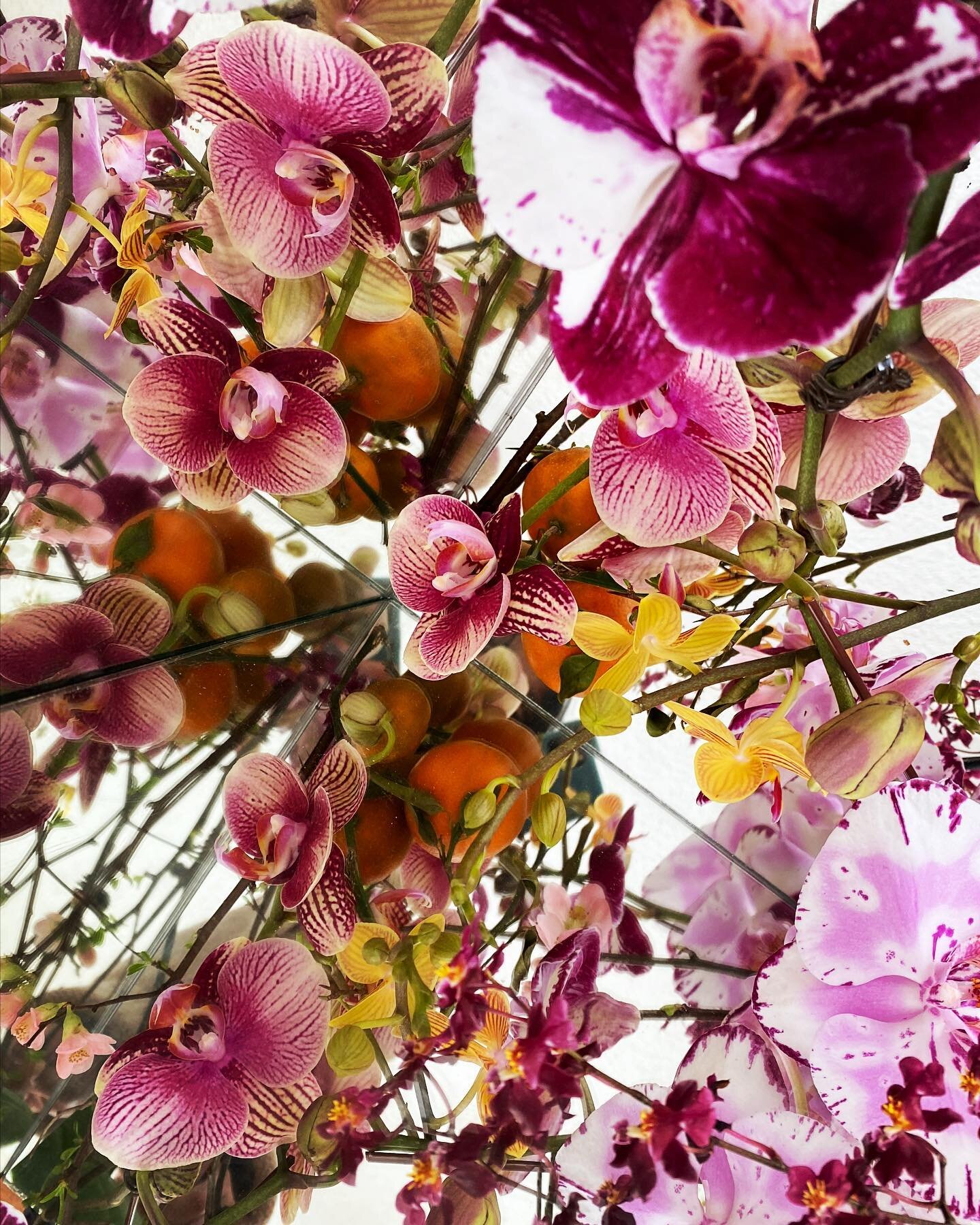 flowers for luck and abundance // happy lunar new year eve! 🐃🍊🌸🌑