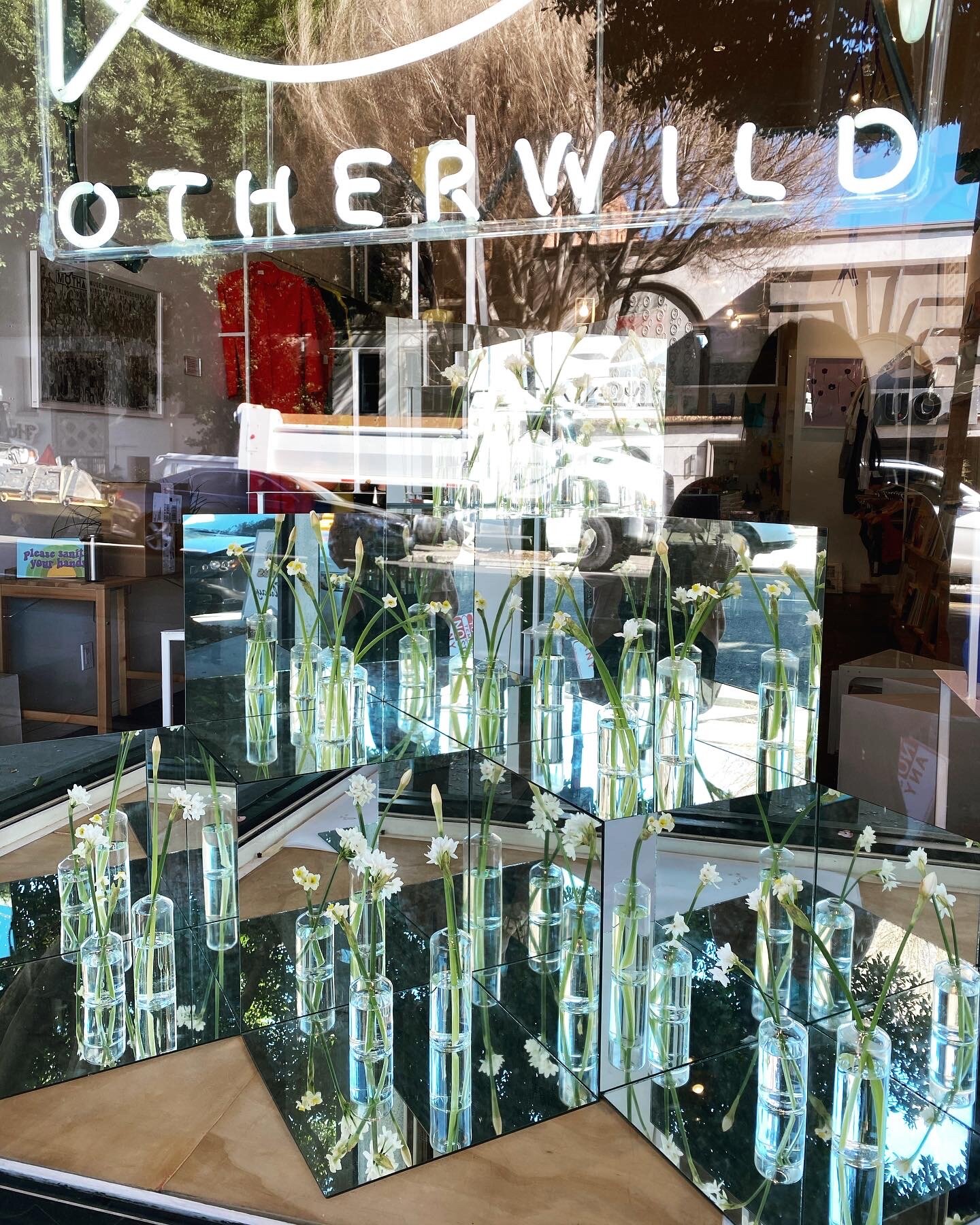  Myth of Narcissus at Otherwild as Window Artist-in-Residence Winter 2019/2020  I was selected as Otherwild’s Window Artist in Residence for 2020-21. The overarching theme was the memento mori, still life paintings that speak to the temporality of th