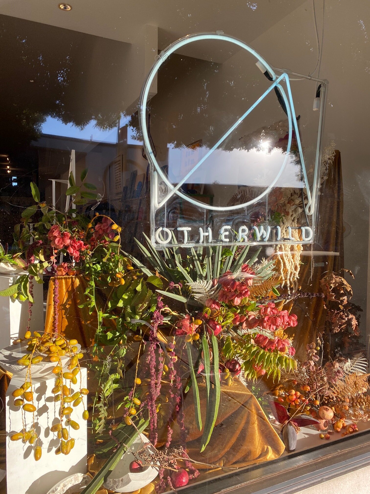  California Winter at Otherwild as Window Artist-in-Residence Winter 2019/2020 