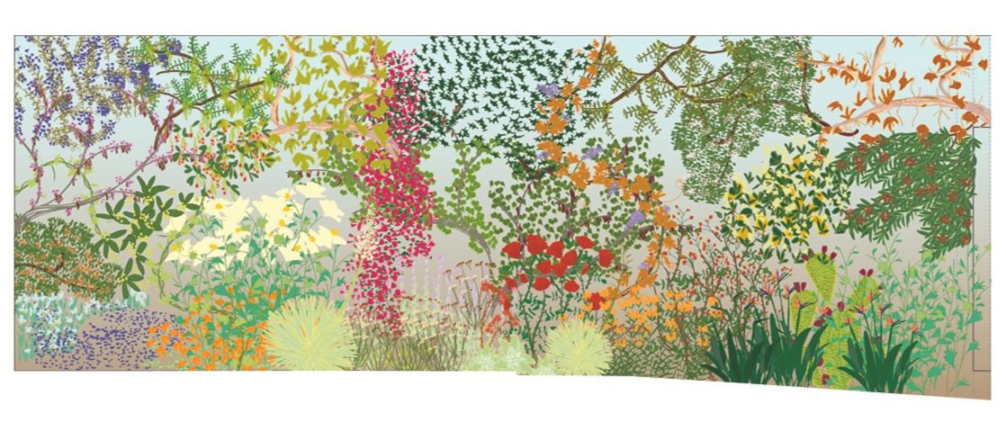 Annum Flora  Public art commission for mixed-use development in downtown Azusa (Projected completion: 2024)  The mural is a scrolling landscape, depicting the four seasons in Southern California as expressed through its plant life.  The plant life d