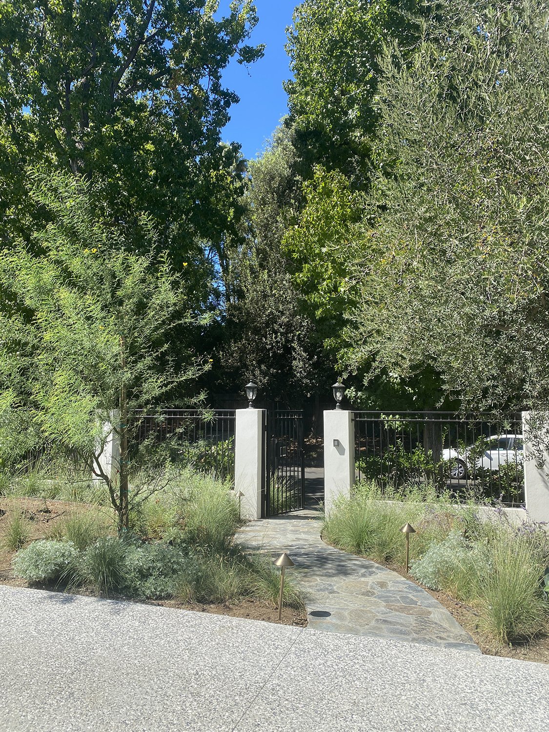  Native and drought-tolerant plantings along a new entry path   