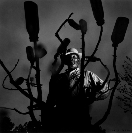 Frank and Bottle Tree