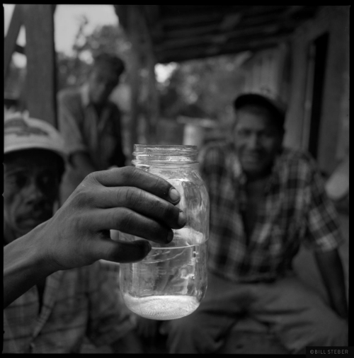 Moonshine