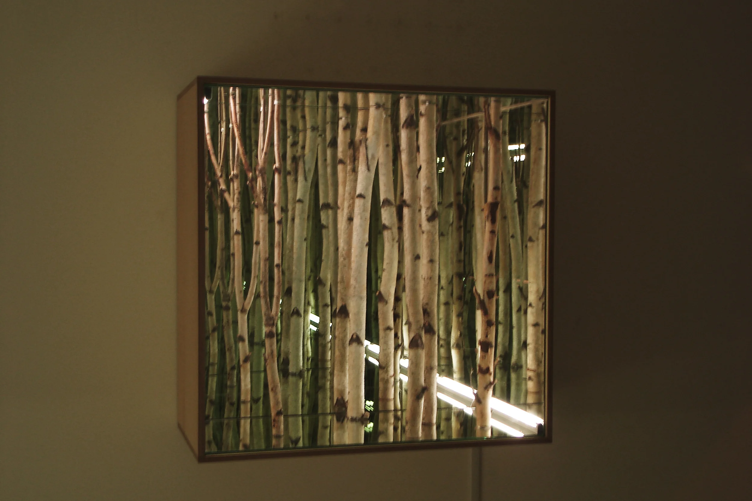 Art for private residence Jupiter, FL