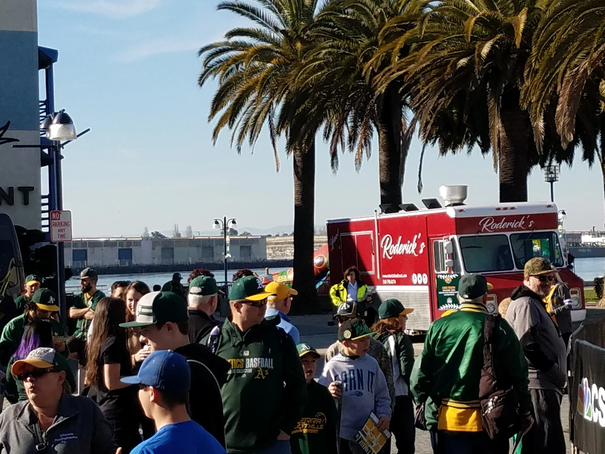 Fan Fest.jpg