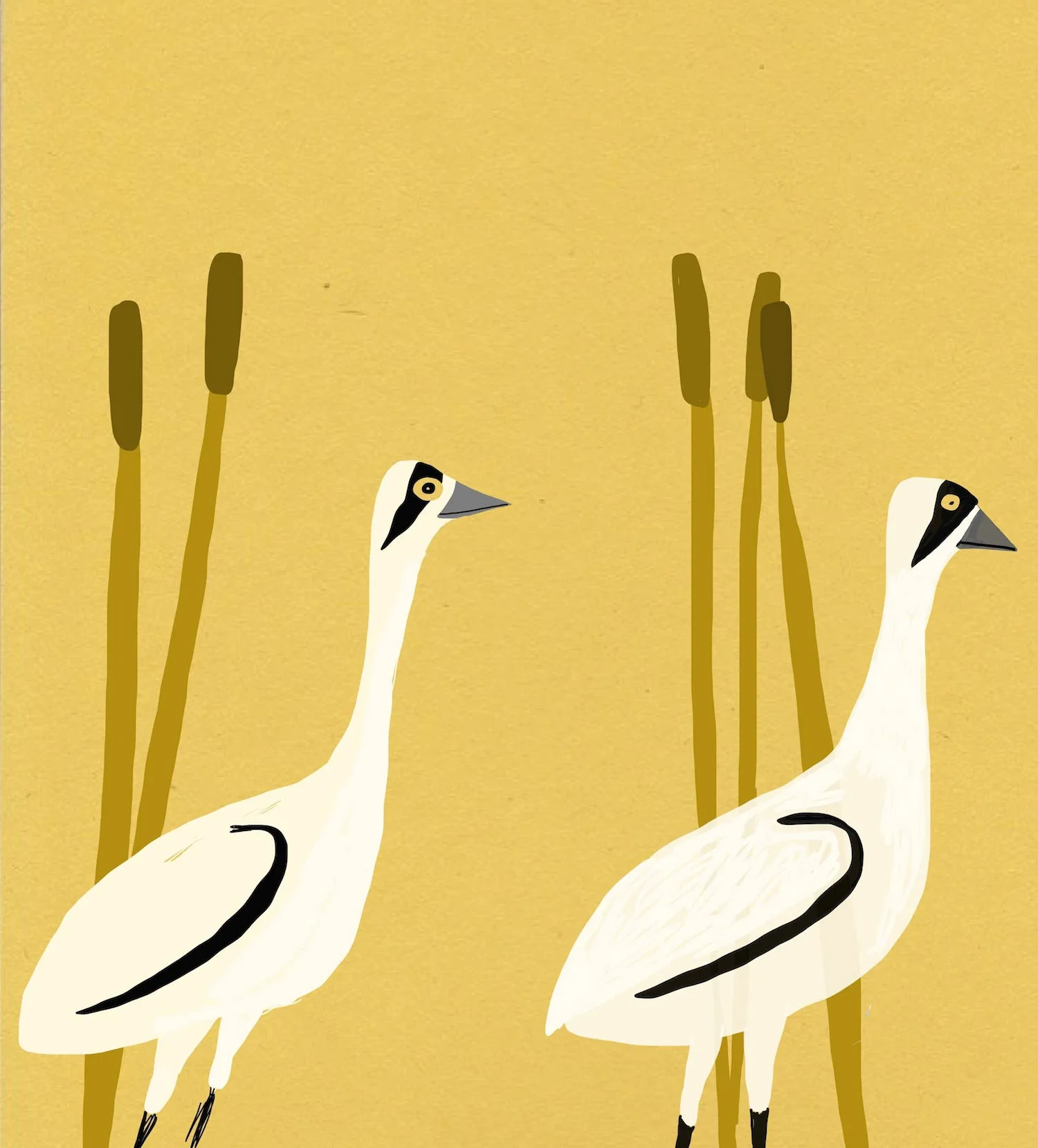 anne_bentley_white_marsh_birds.jpg
