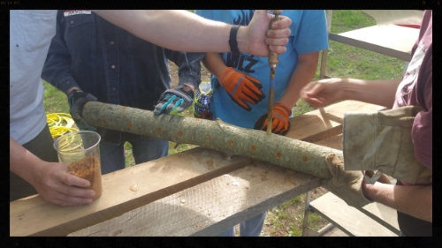 Our workshop attendees hard at work inoculating mushroom logs