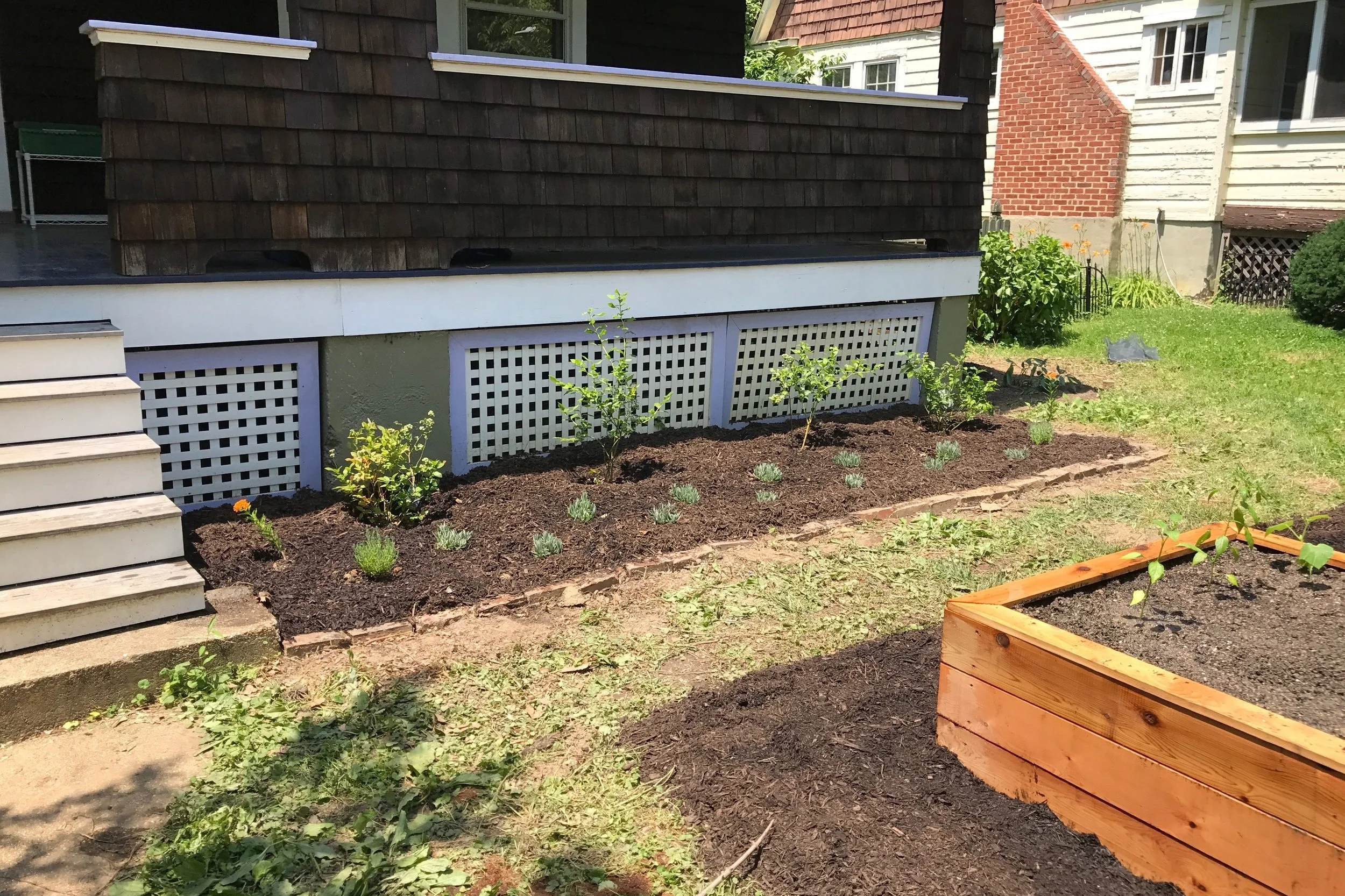 After Planting