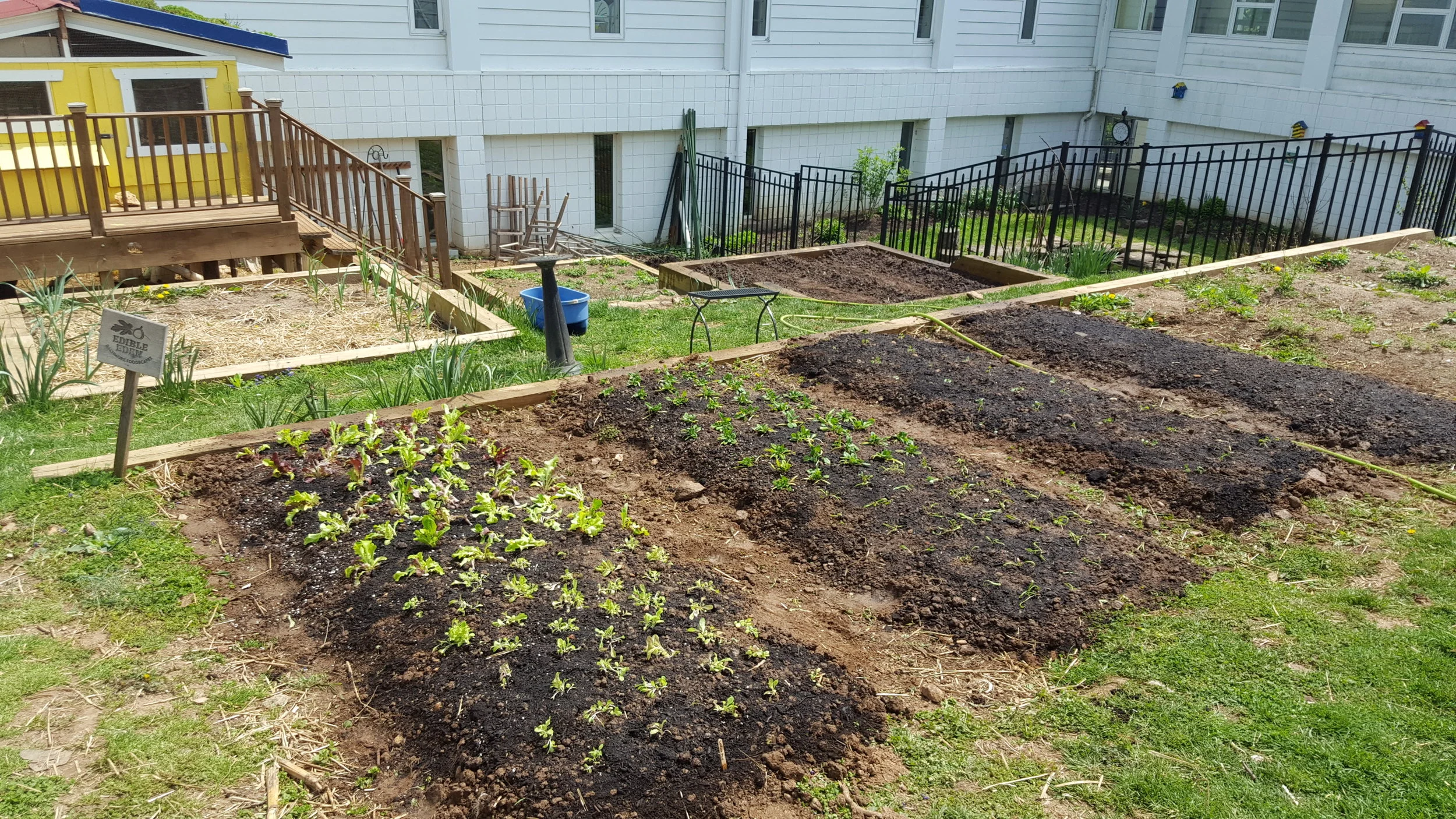St. Paul's School - Fresh Planting