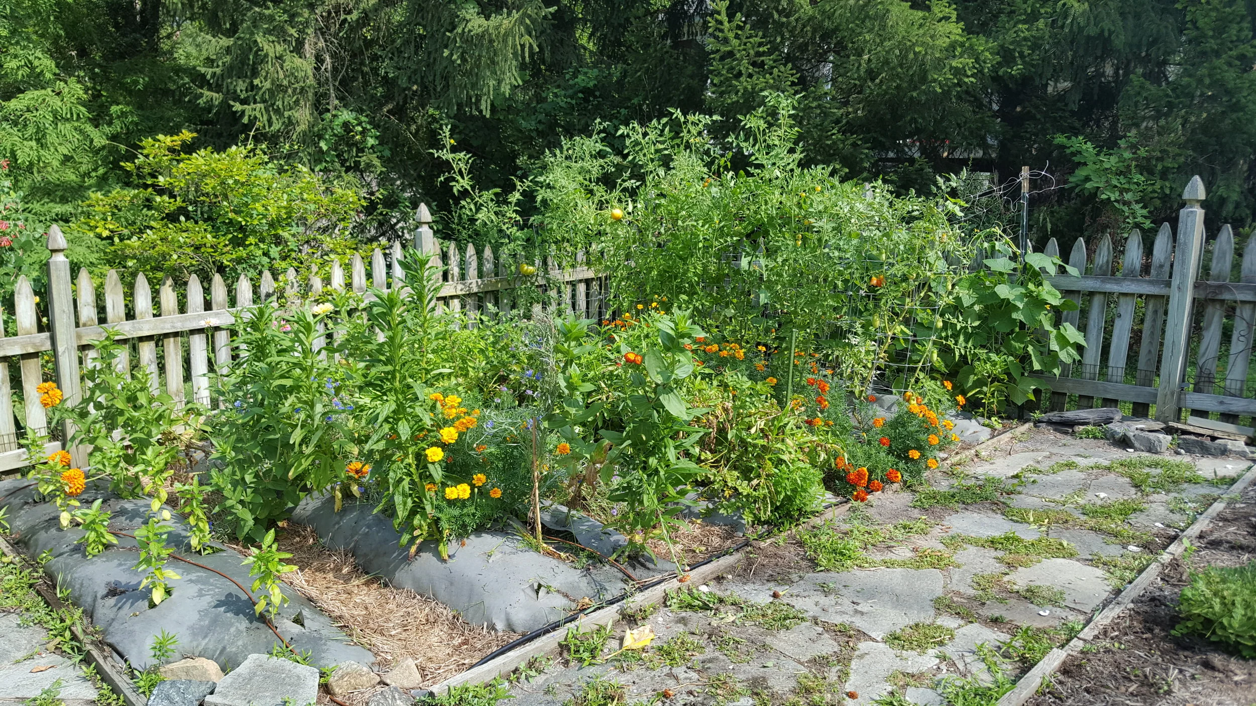 In-ground Four Quadrant Garden