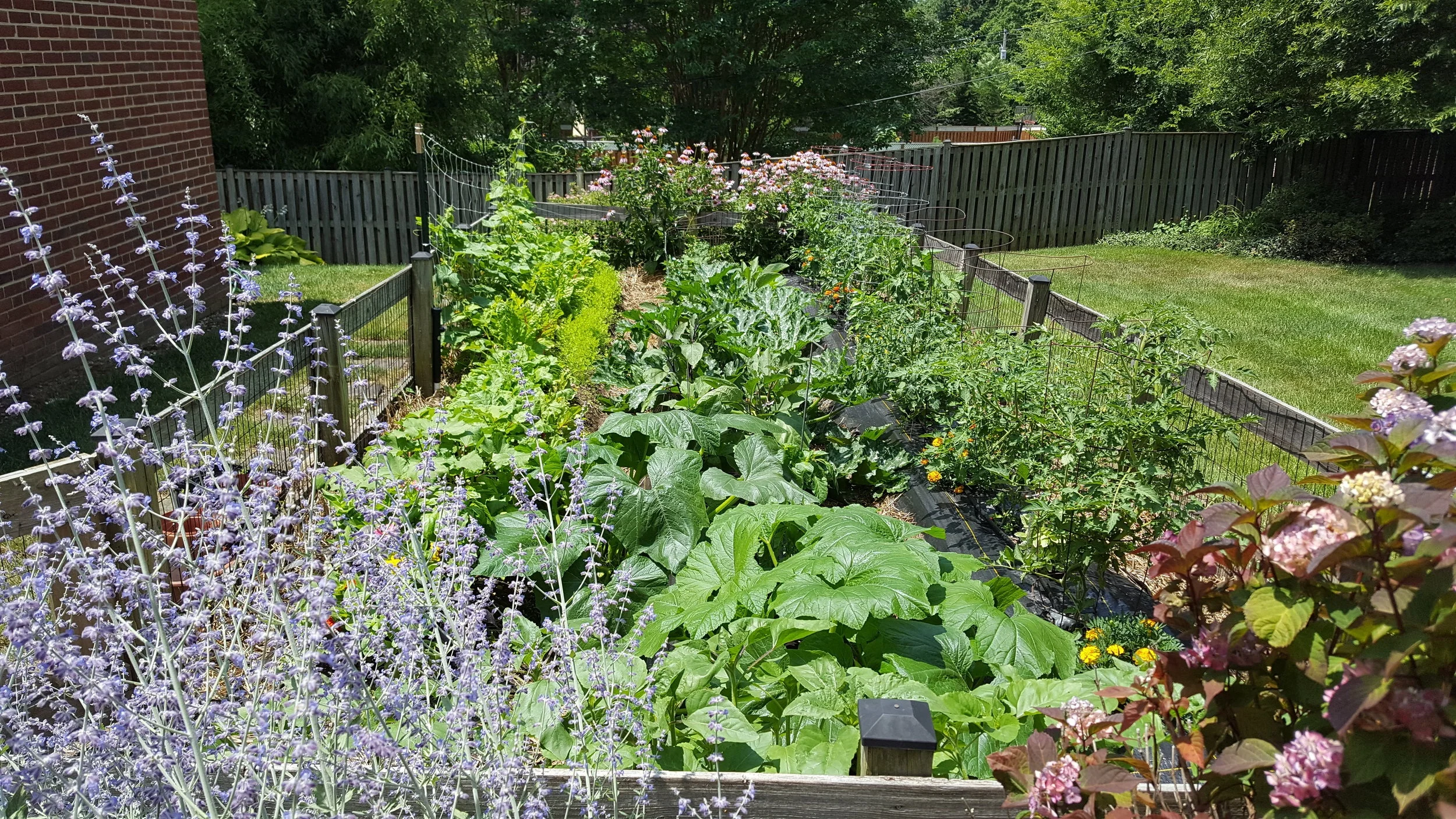 In-ground garden