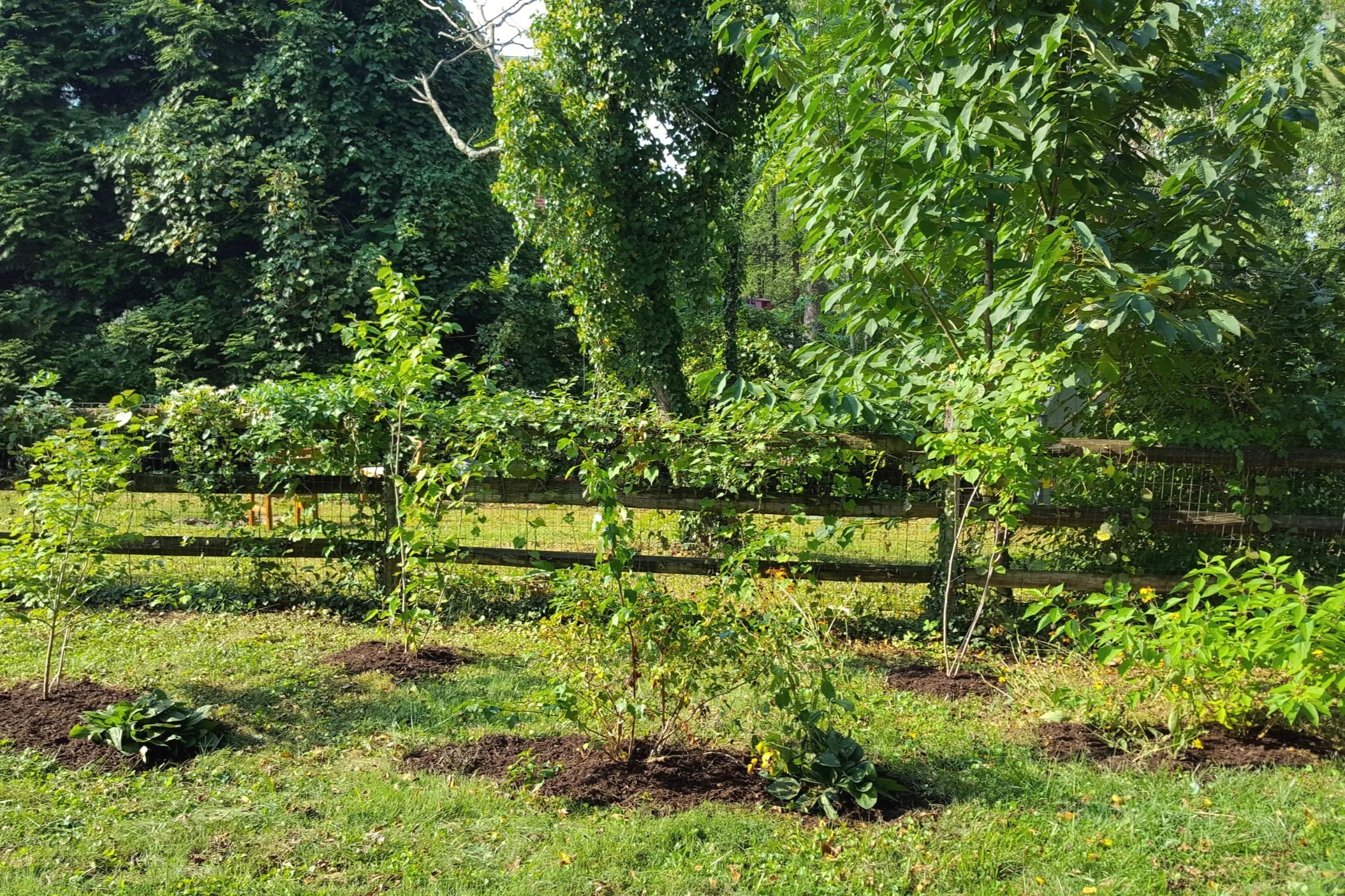 Guild+Garden.jpg