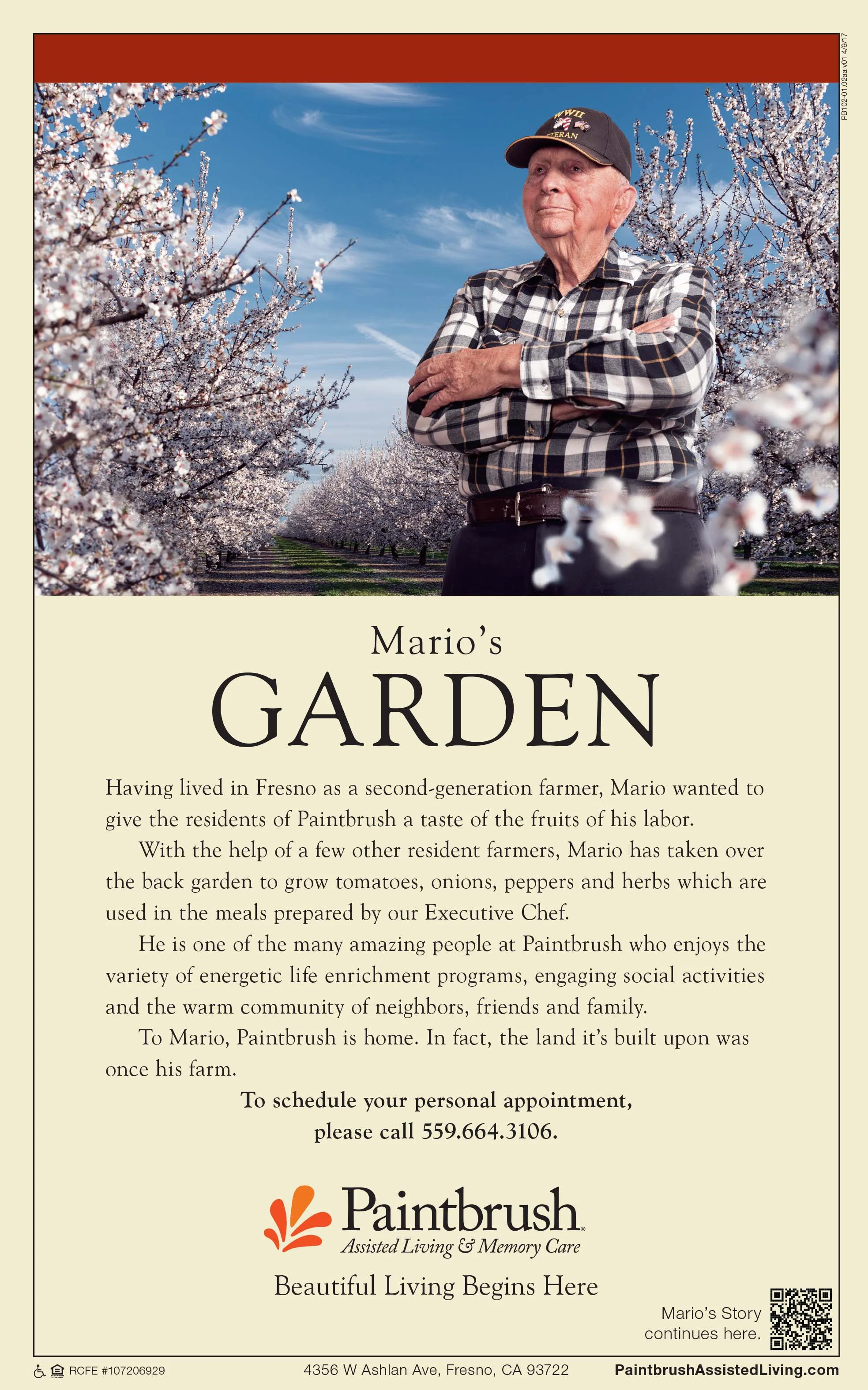 Print Ads / Retail