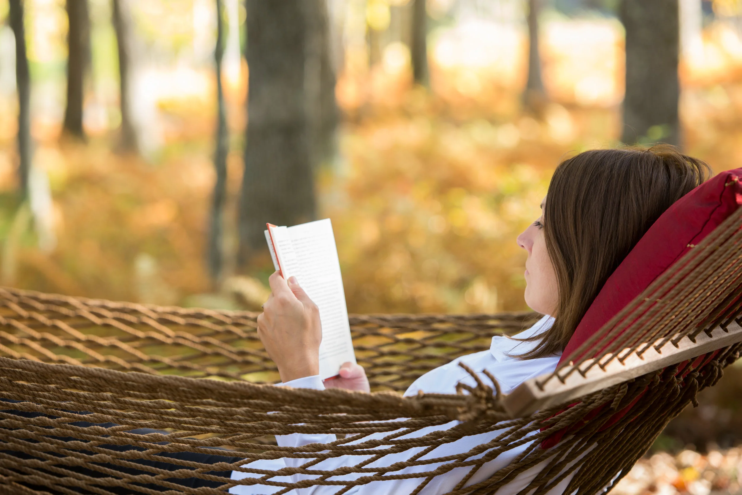 AKP FALL FALL HEALING.jpg