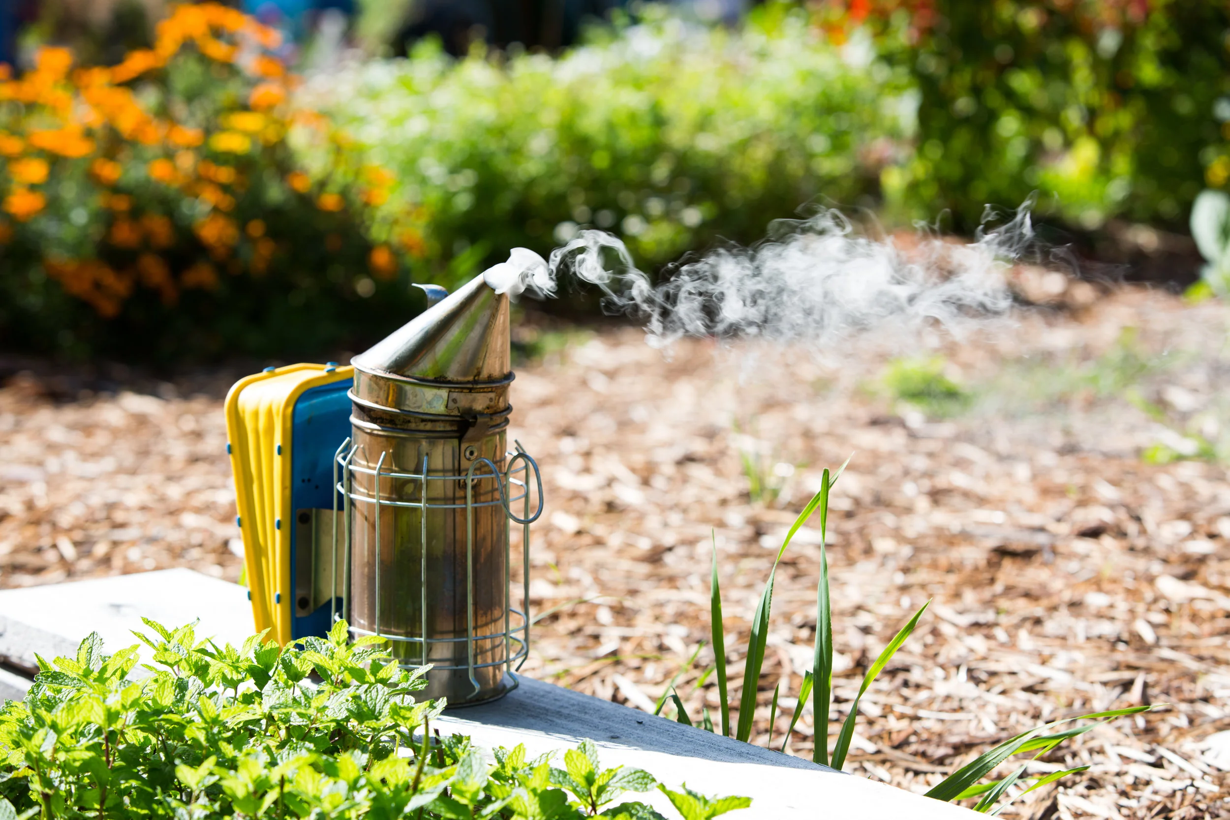 AKP TLAW GARDEN DINNER BEES FINAL-1.jpg