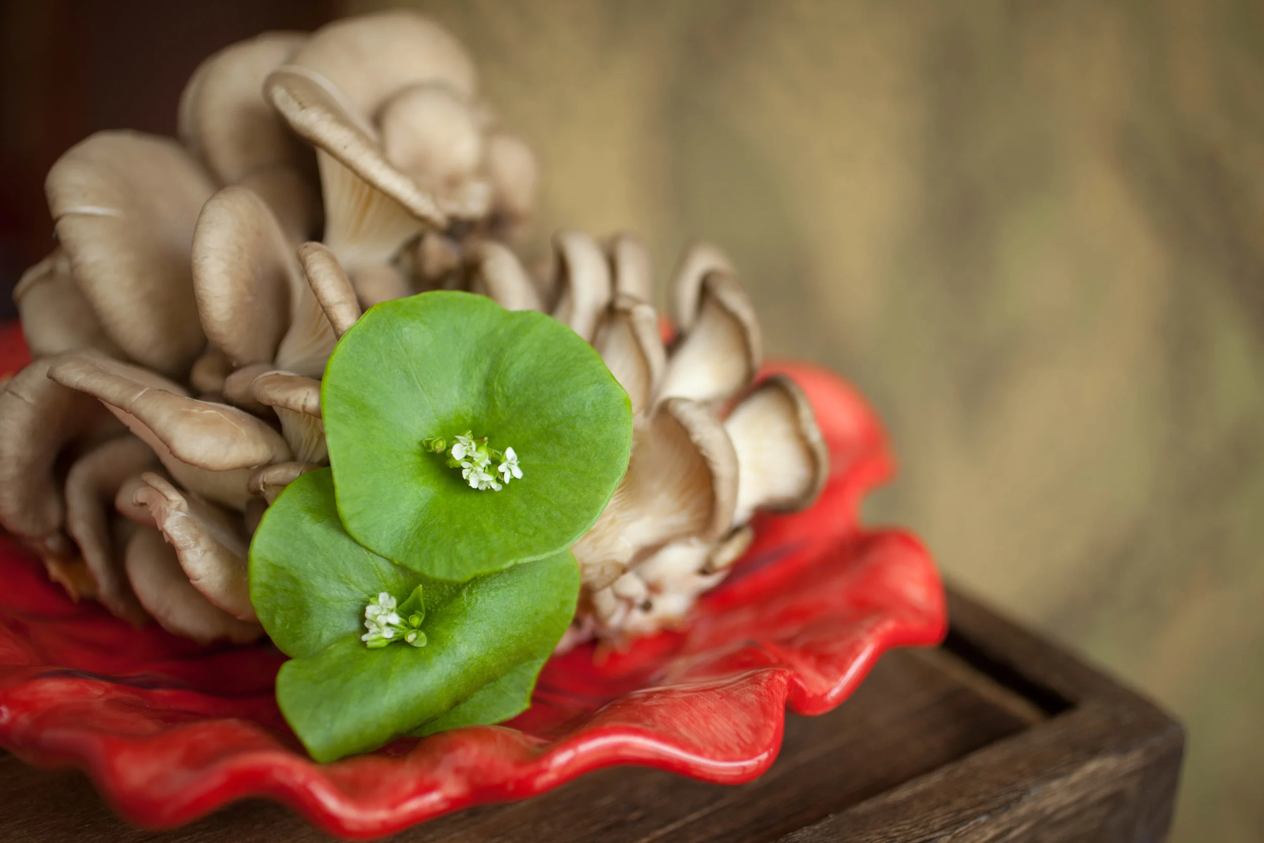 AKP TLAW FINALS 05_15_14-25.jpg