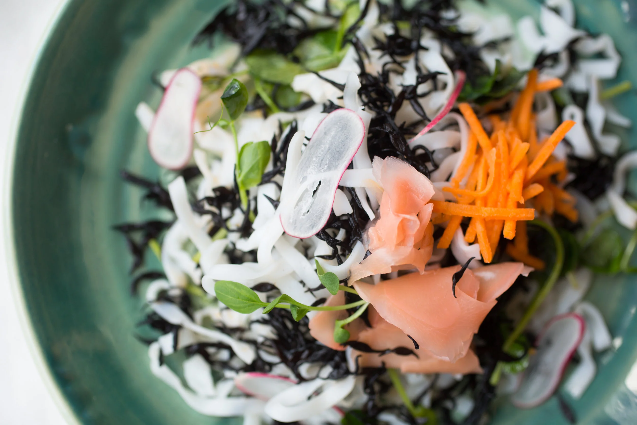 06_01_2016_TLAW BY AKP-22.JPG