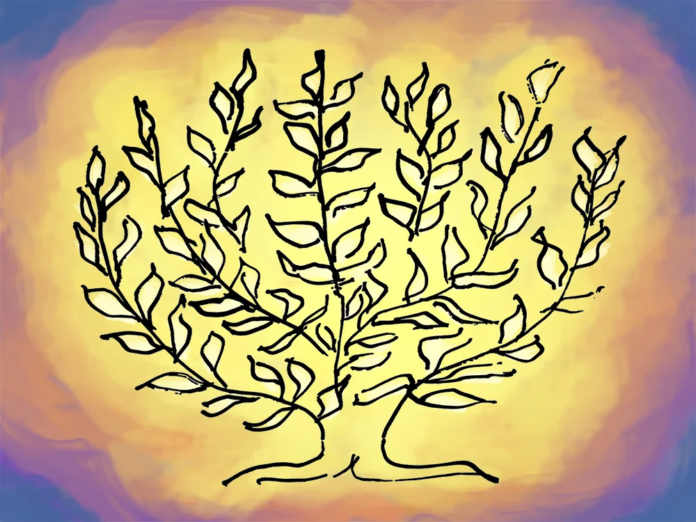 Tree of Life #1