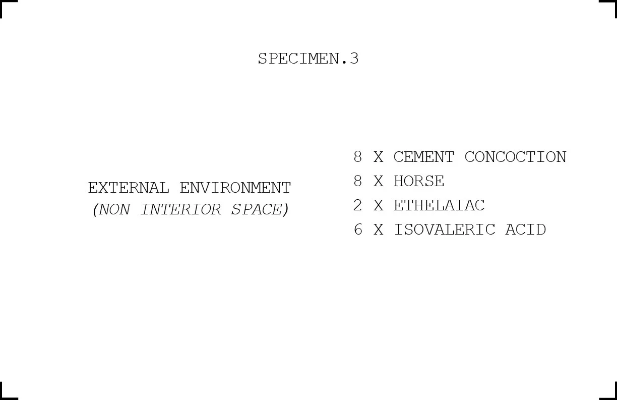 environment-19.jpg
