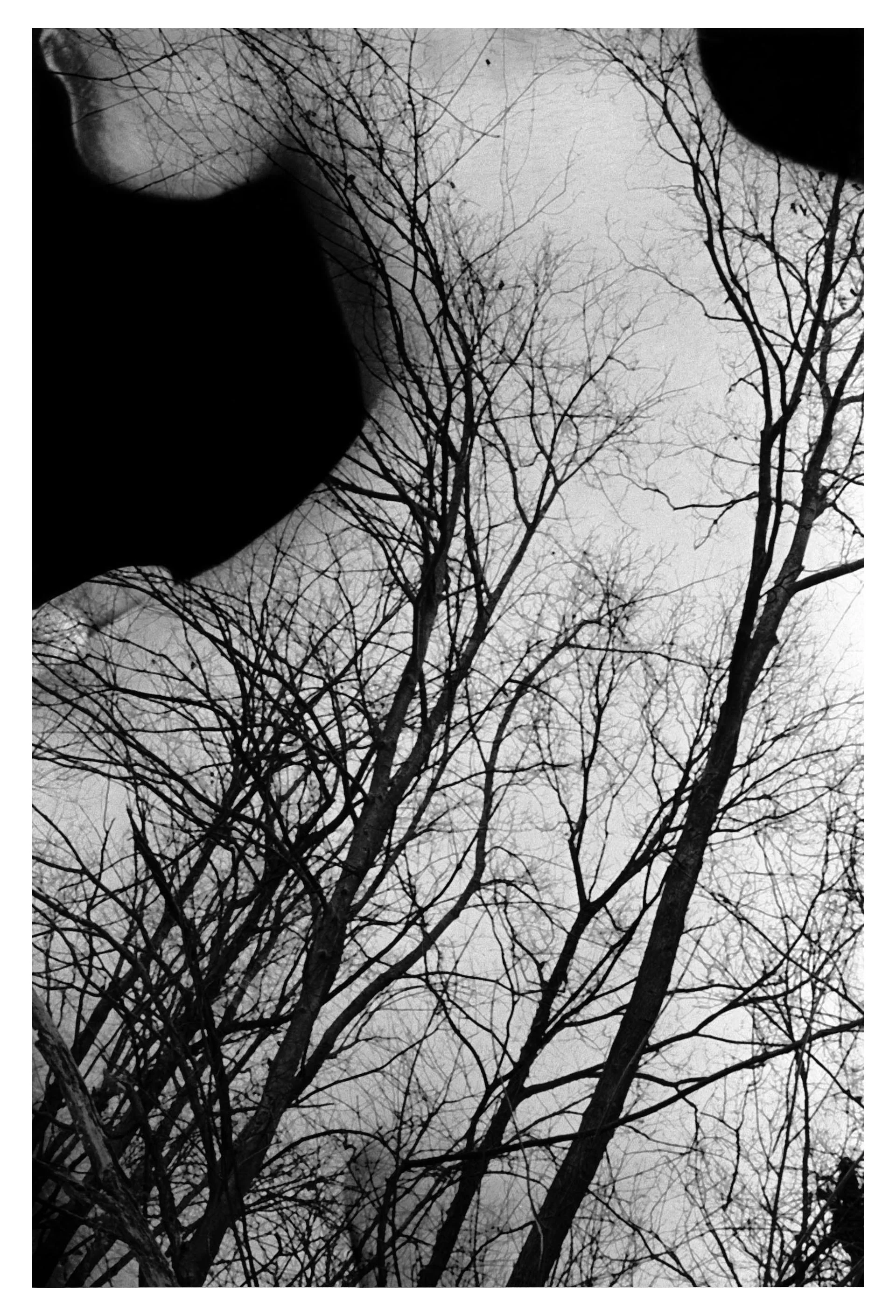  film photograph  2011 