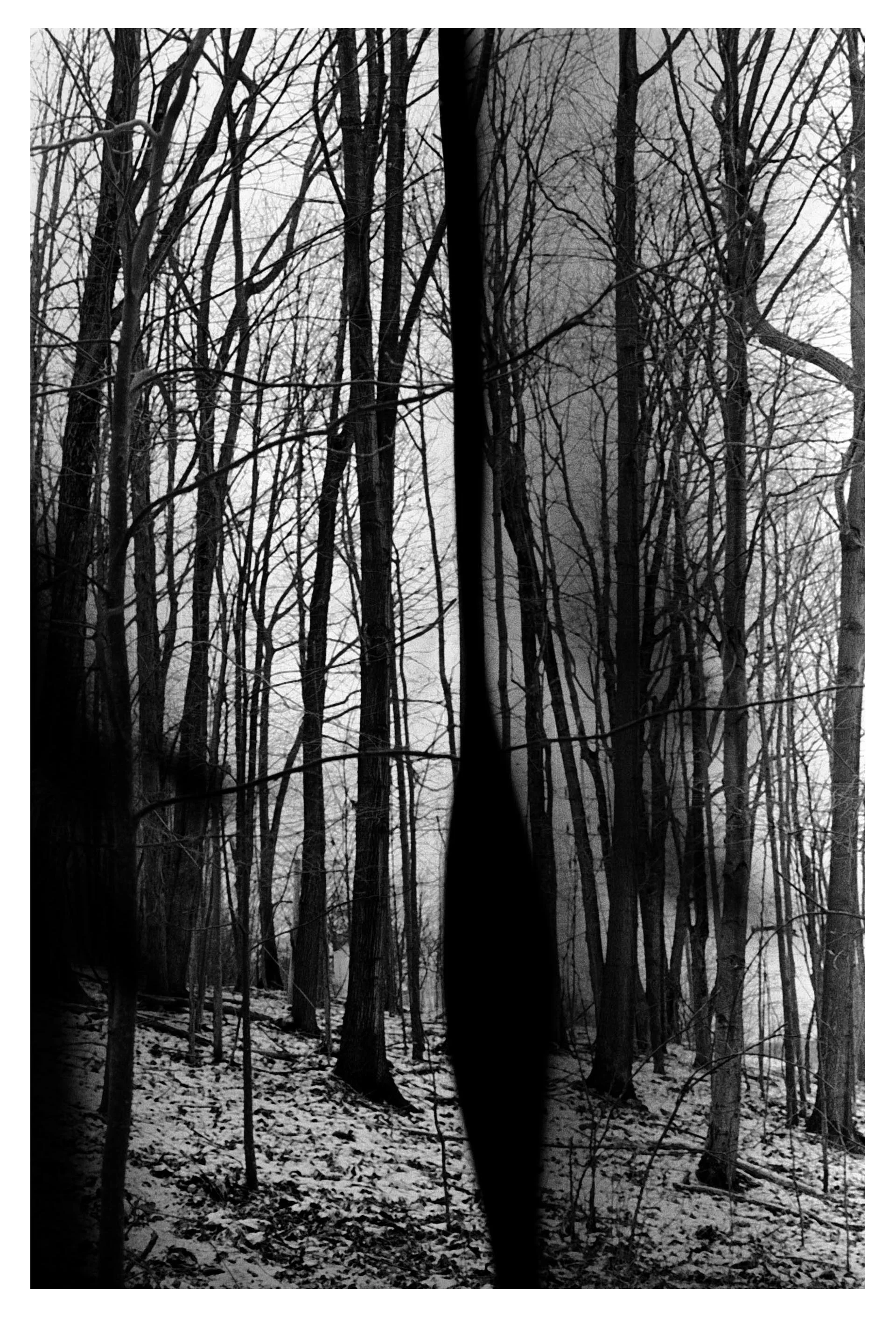  film photograph  2011 