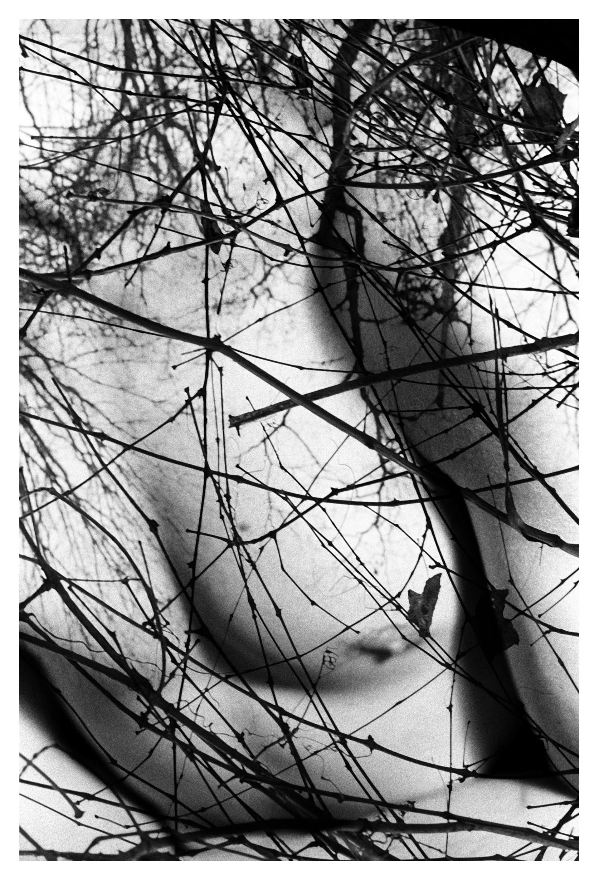  film photograph  2011 