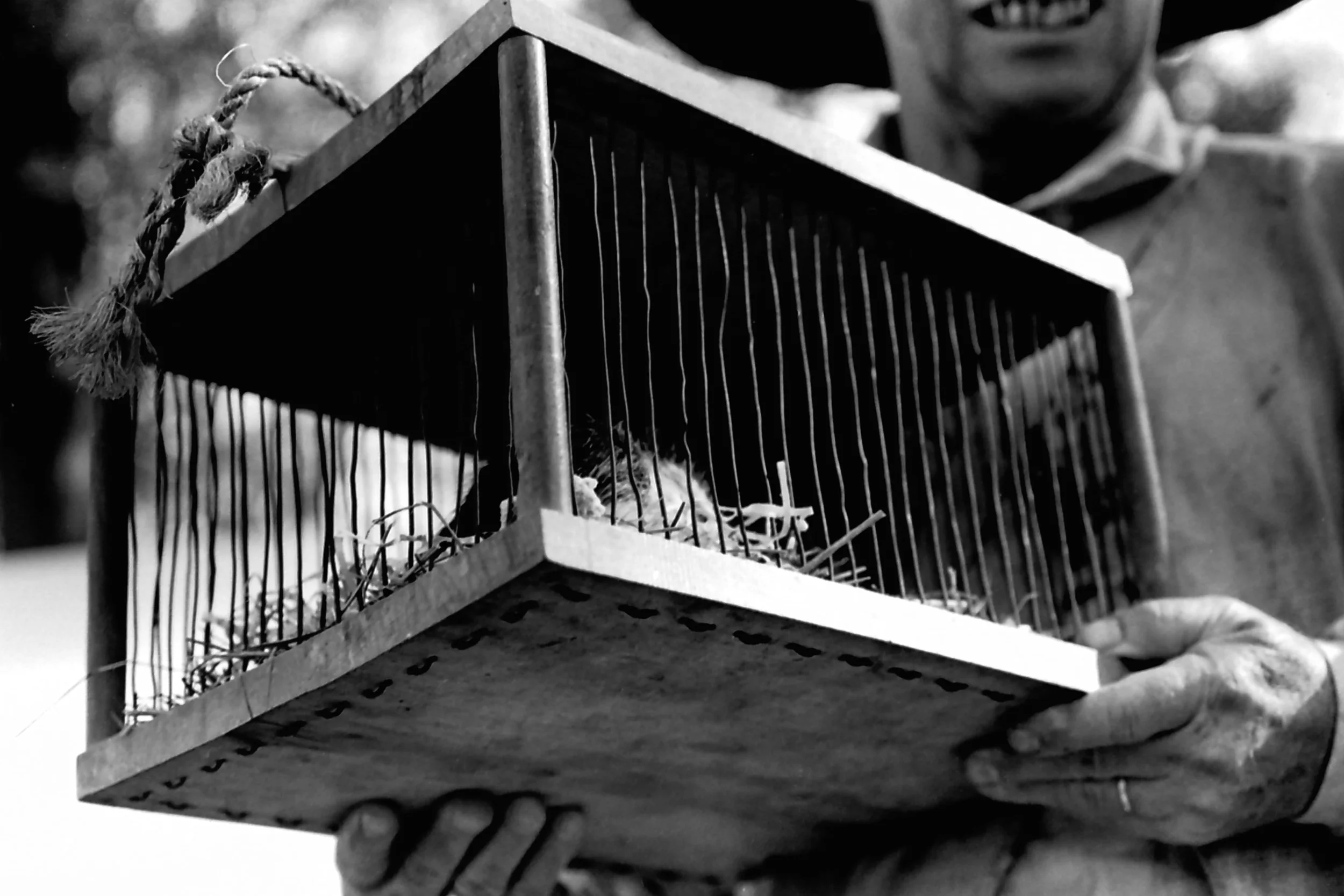  film photograph  Renaissance Fair, Louisville, KY  2009 