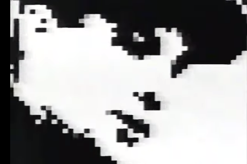COST & REVS and FU-SCHNICKENS in dope 1993 Video