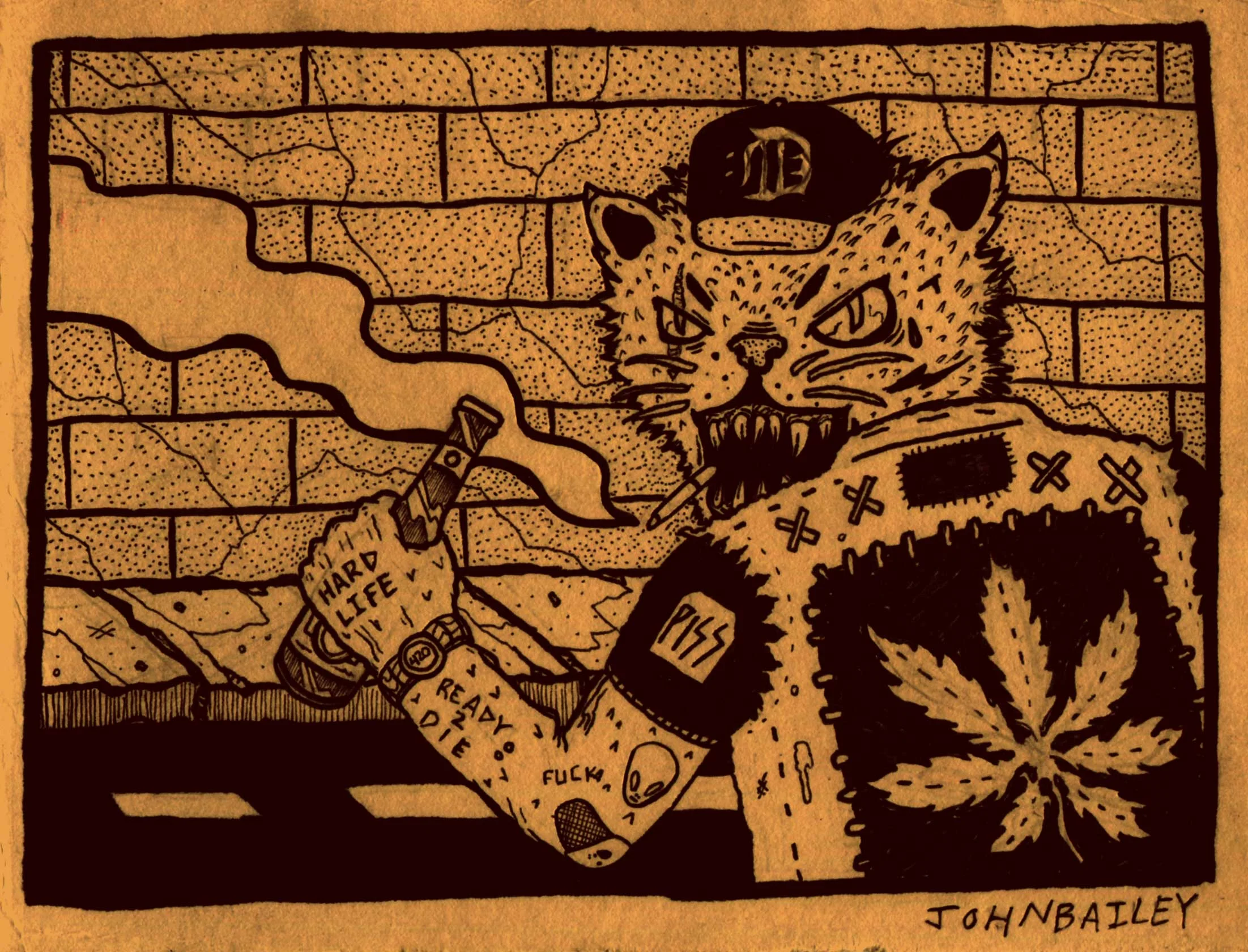 Is Your Cat an Asshole? By Tyler Nacho