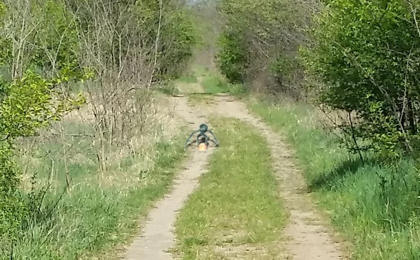 Is this a photograph of a REAL alien?