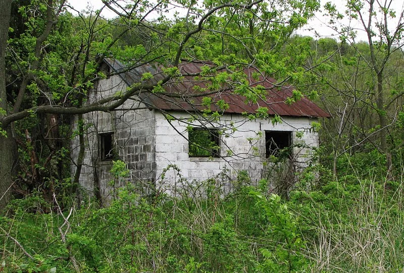 Abandoned Shack Sex