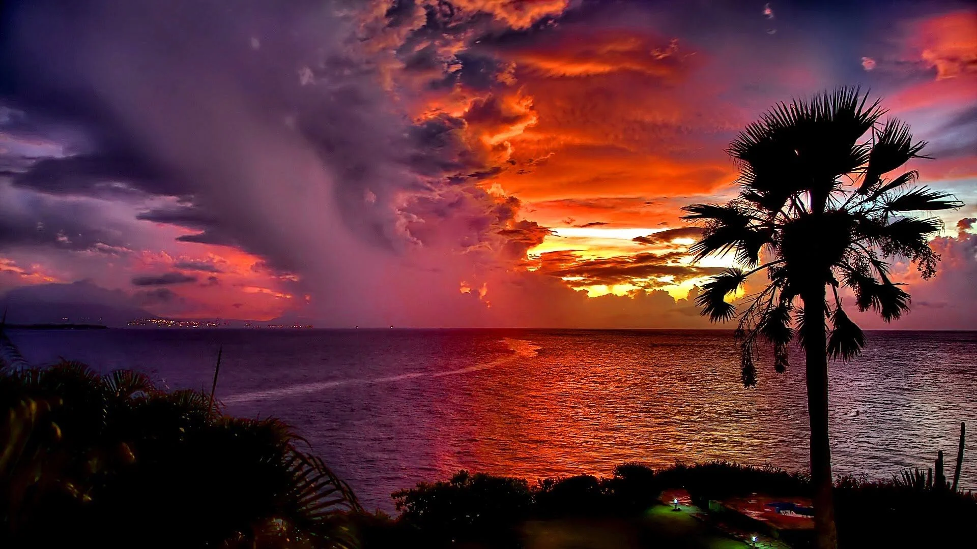 A palm tree? At sunset? Could it get in