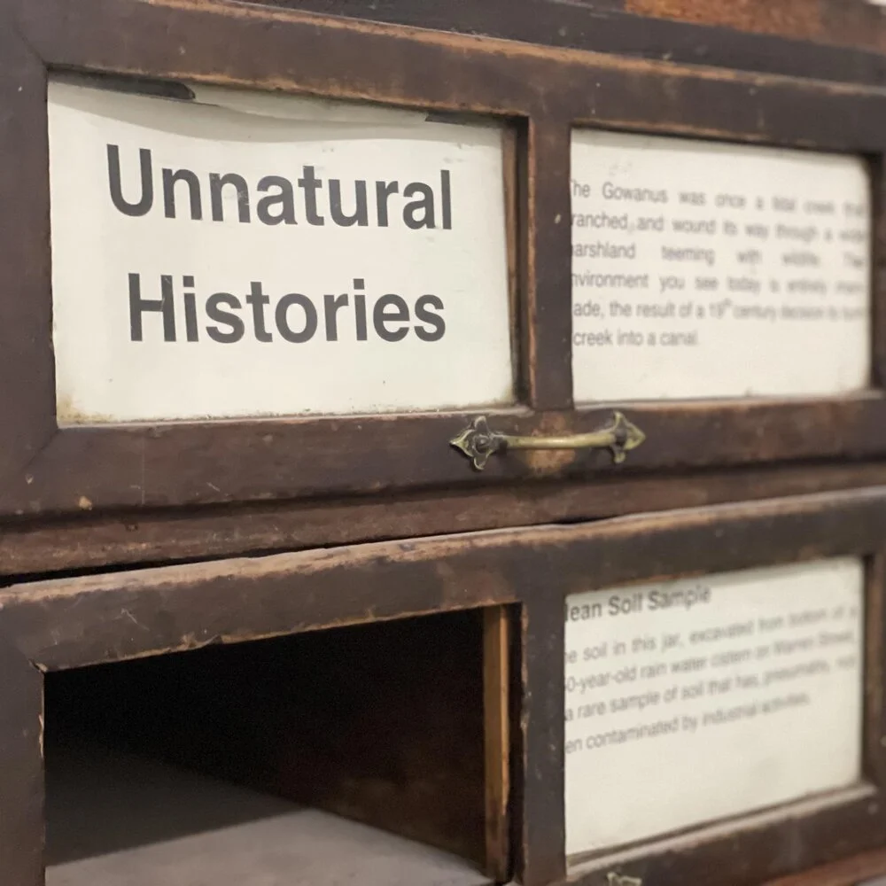 "Unnatural Histories" at Footnote 