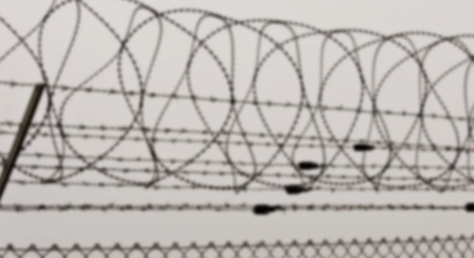 barbedwire.jpg