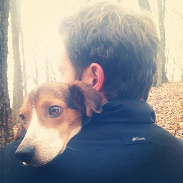  George the Beagle got tired during our post-Thanksgiving hike. Ridiculous.