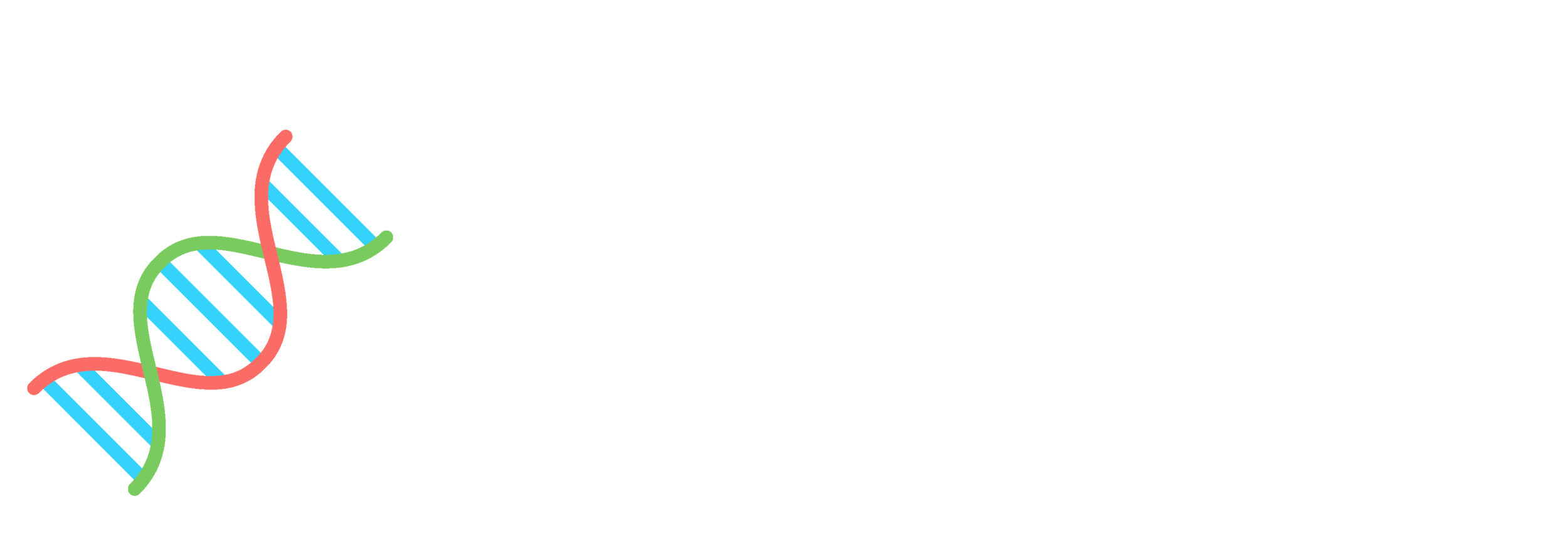 Wordplay_Assets_ServiceIcons_CoreIdentity copy 3.png