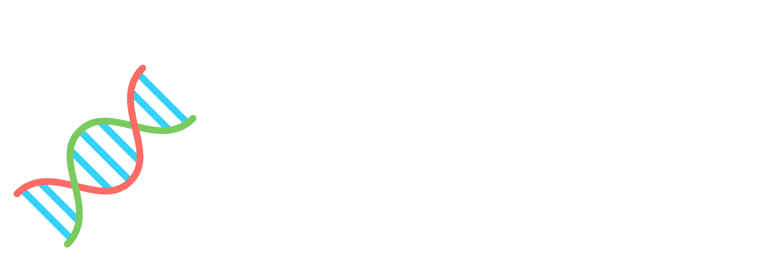Wordplay_Assets_ServiceIcons_CoreIdentity copy 3.png