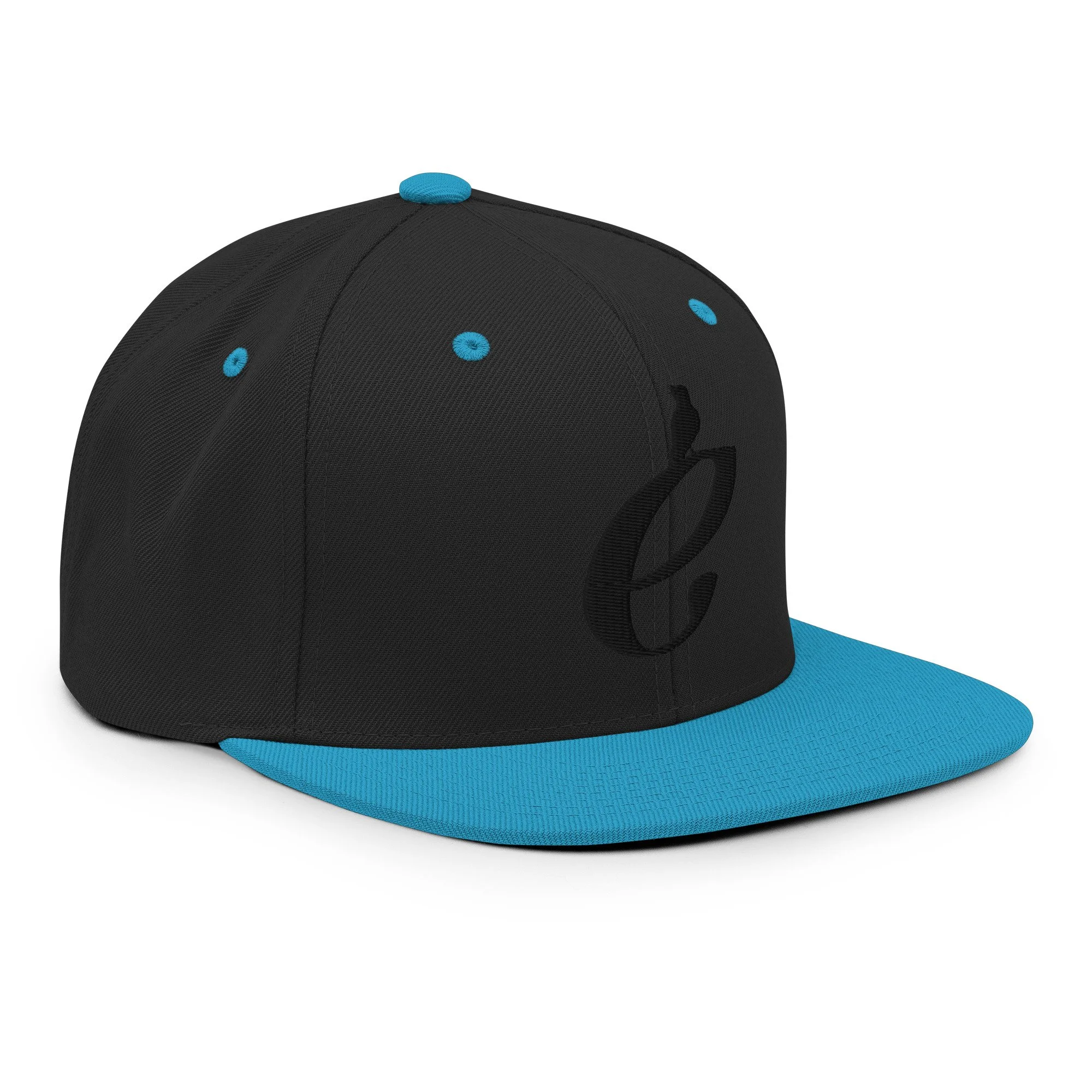 classic-snapback-black-teal-right-front-69c4b691bce66.jpg