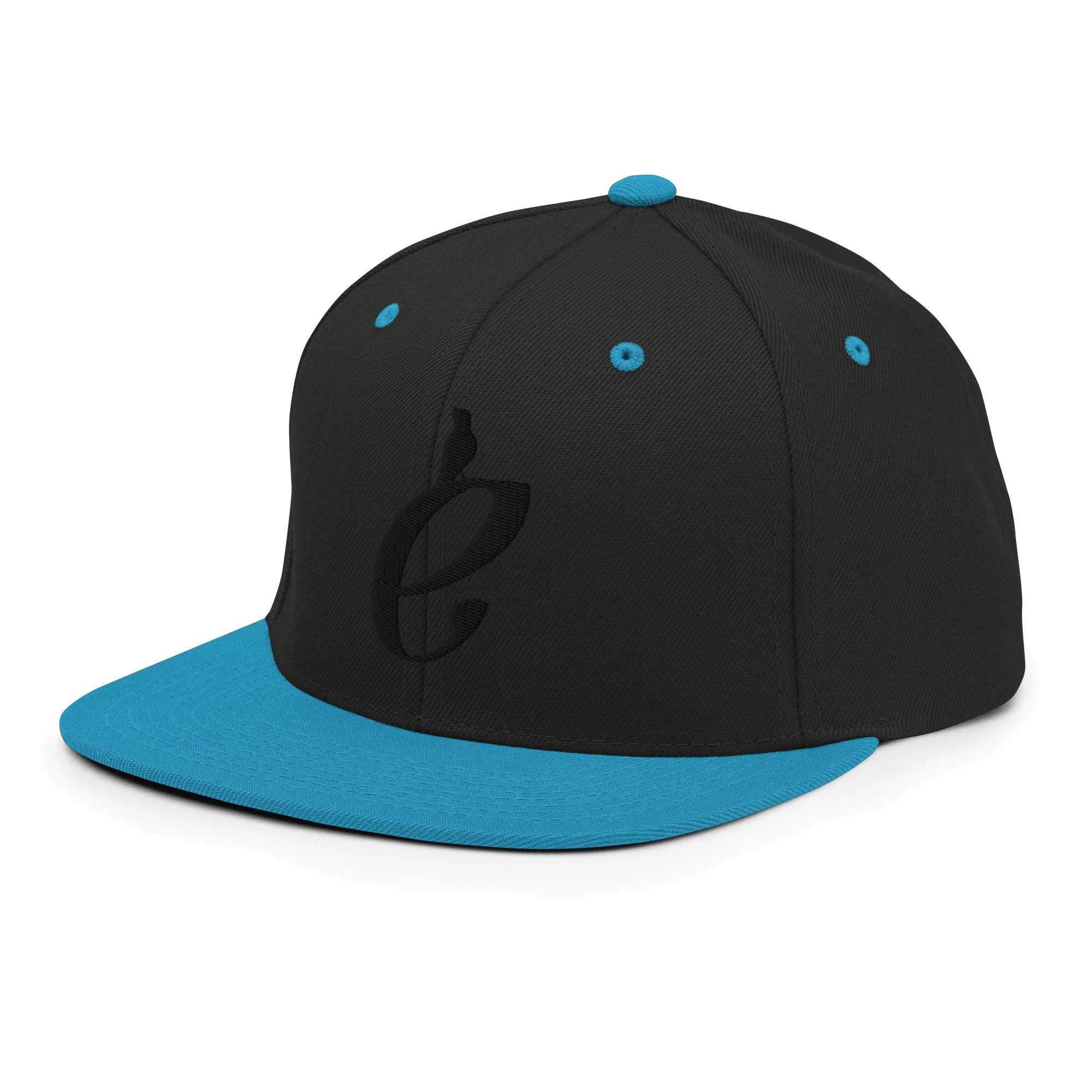 classic-snapback-black-teal-left-front-69c4b691bdf5b.jpg
