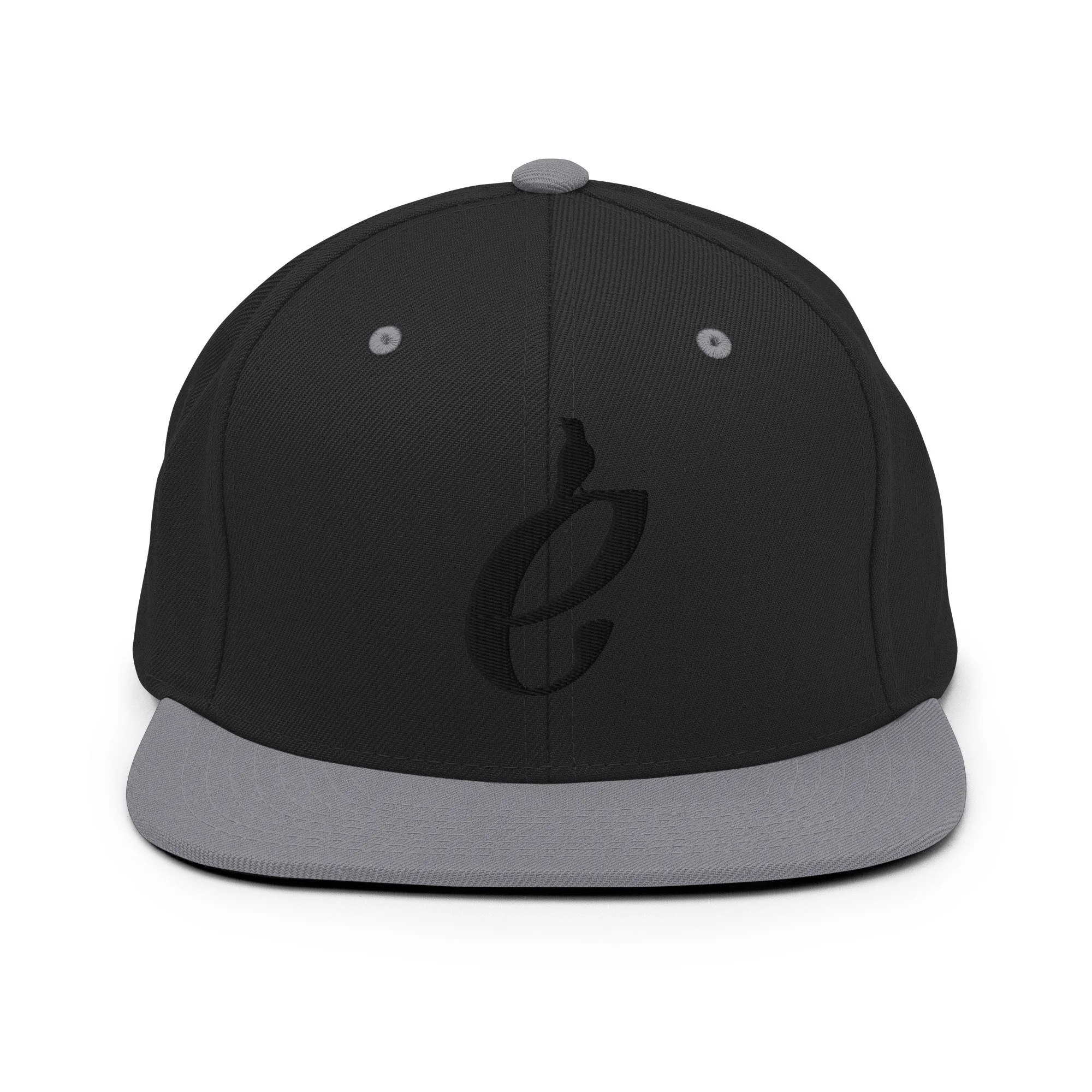 classic-snapback-black-silver-front-69c4b691b966f.jpg