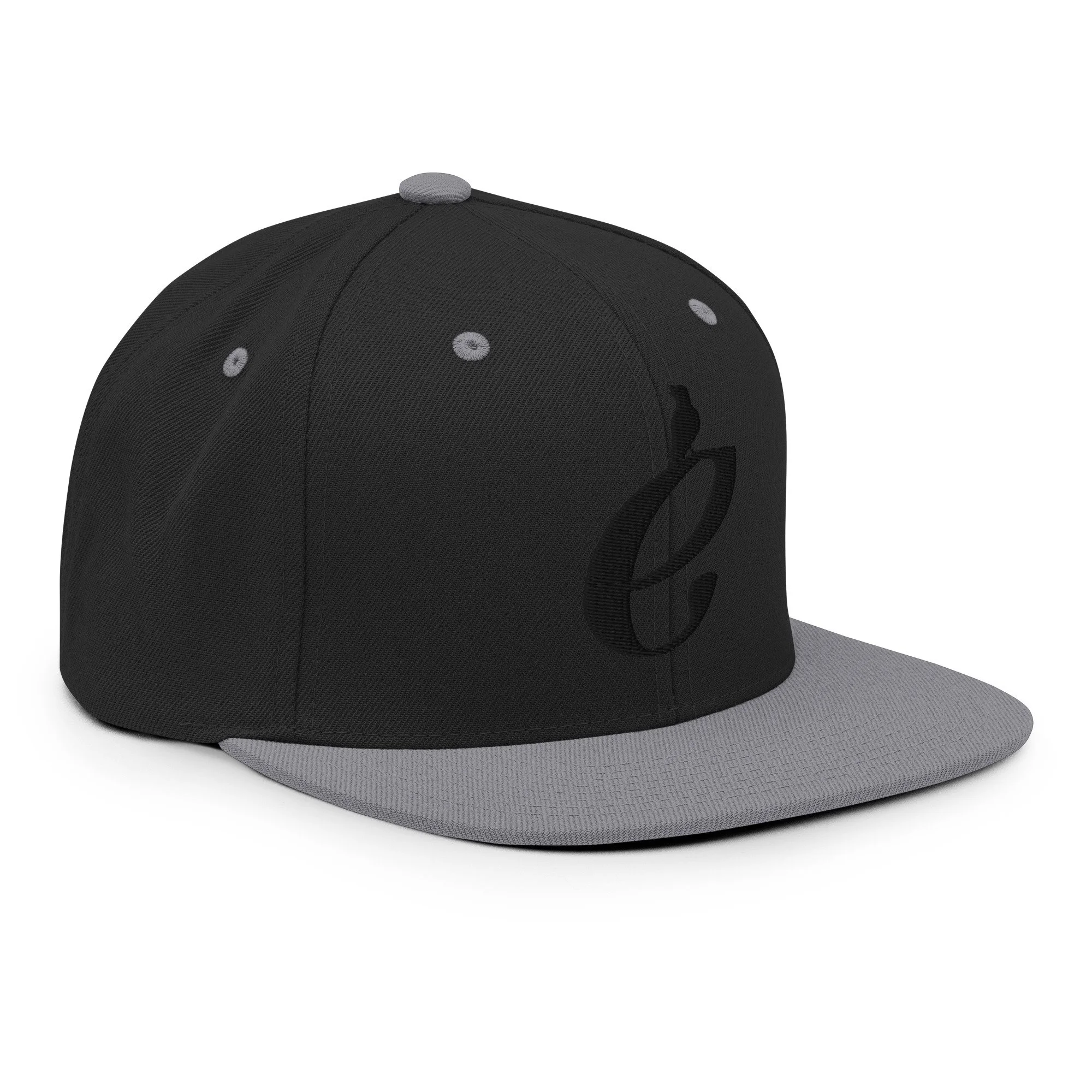 classic-snapback-black-silver-right-front-69c4b691bcd8c.jpg