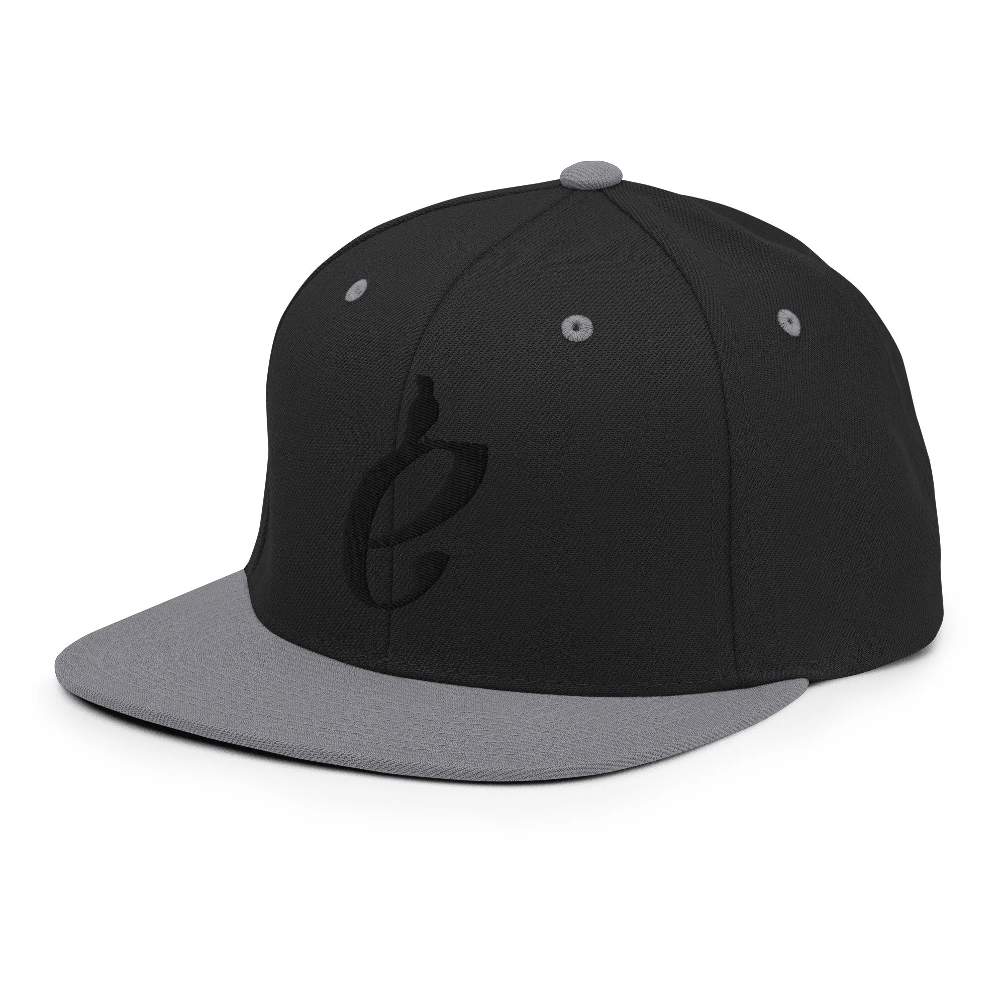 classic-snapback-black-silver-left-front-69c4b691bde7b.jpg