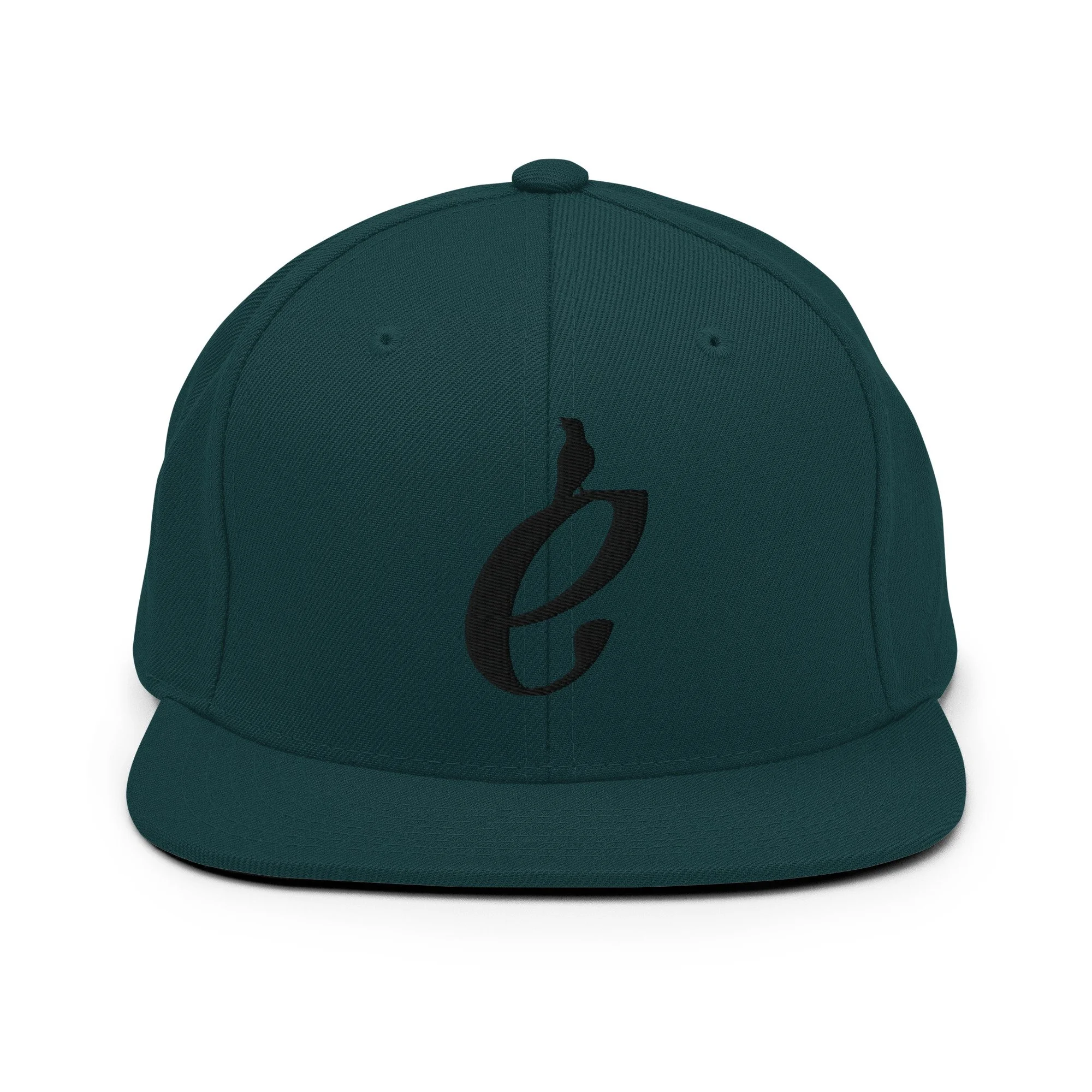 classic-snapback-spruce-front-69c4b691b9ced.jpg