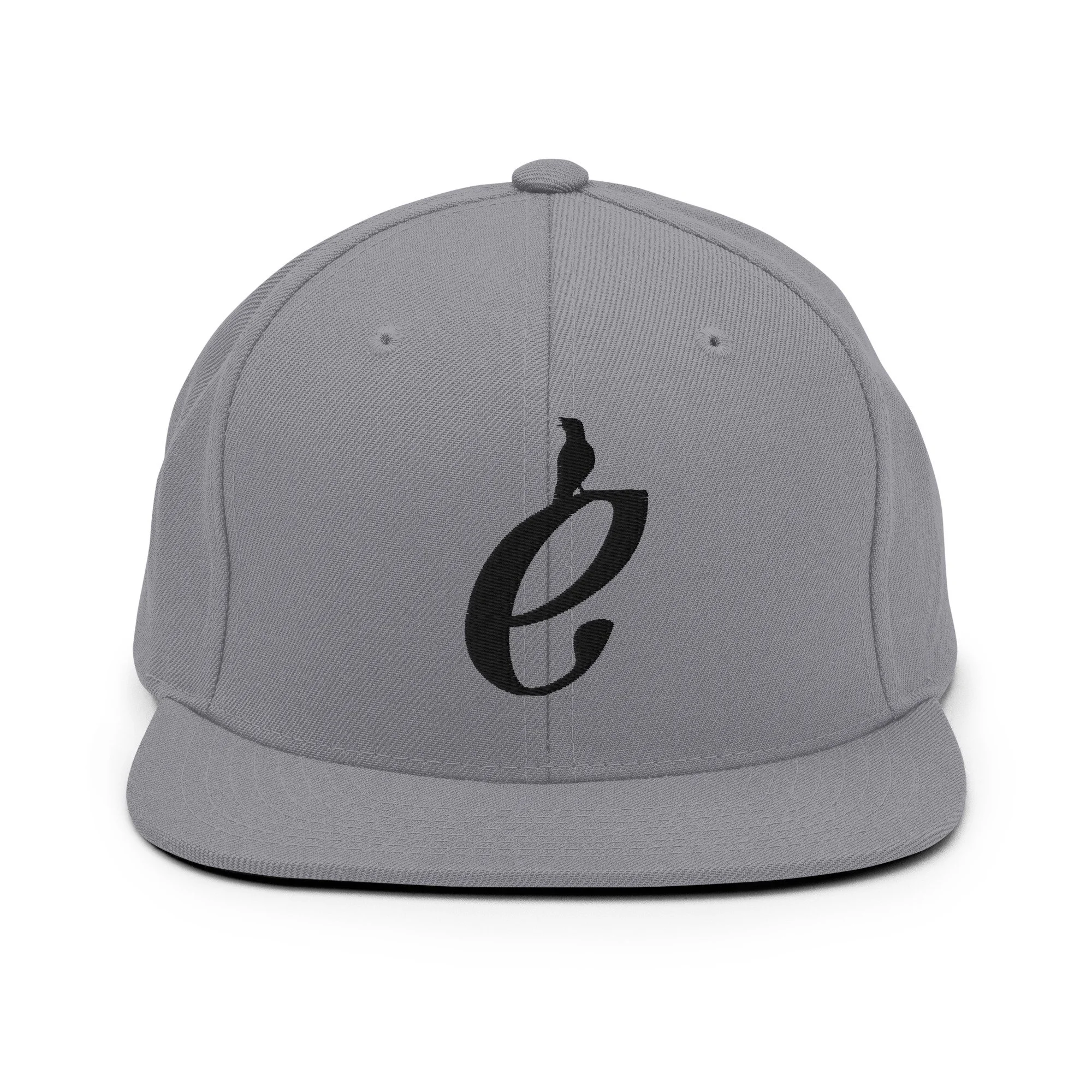 classic-snapback-silver-front-69c4b691b9c0d.jpg