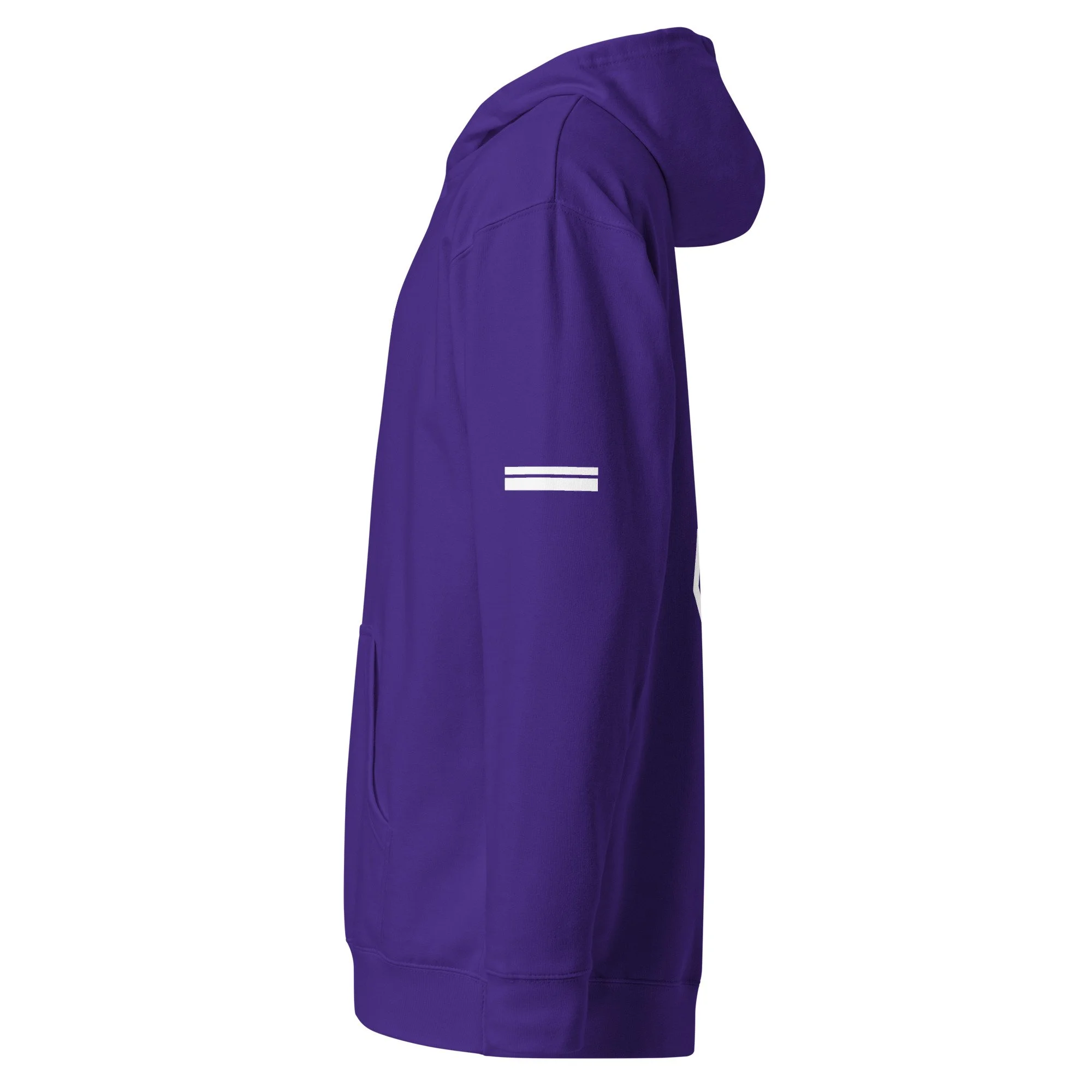 unisex-midweight-hoodie-purple-left-69c53655b9975.jpg